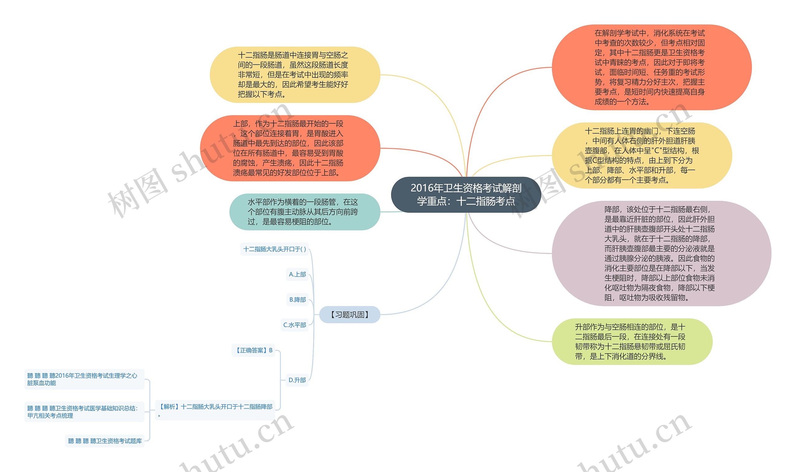 2016年卫生资格考试解剖学重点：十二指肠考点思维导图