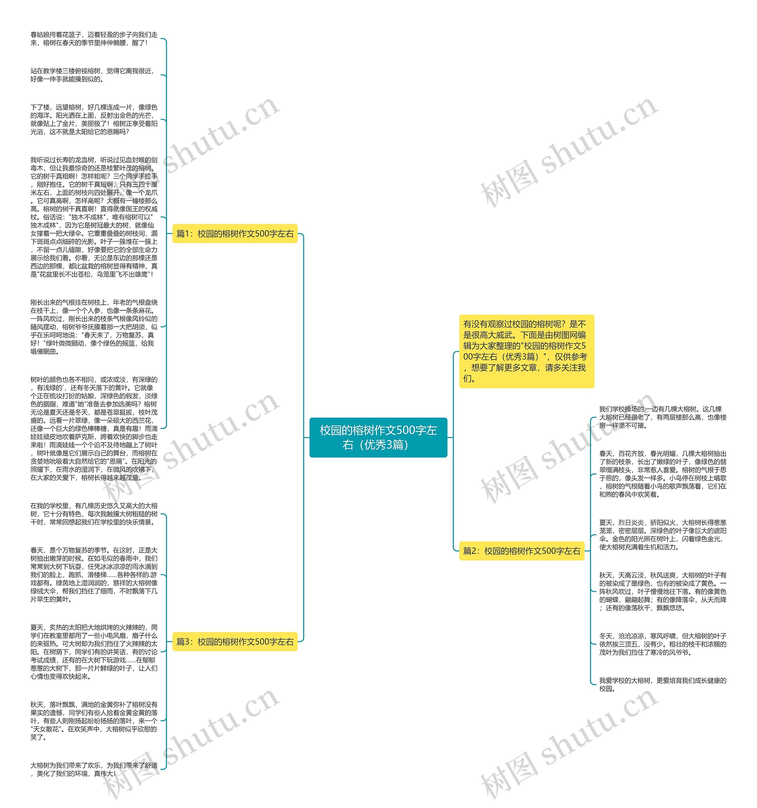 校园的榕树作文500字左右（优秀3篇）思维导图
