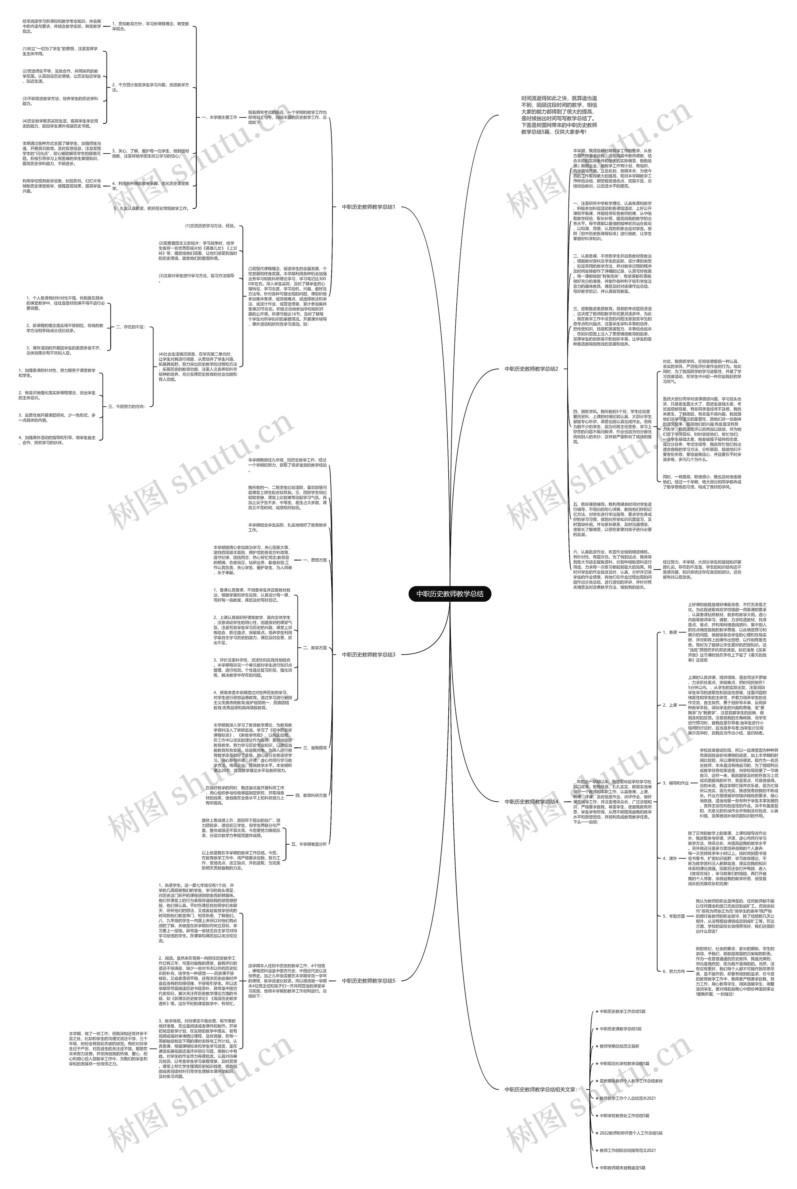 中职历史教师教学总结思维导图