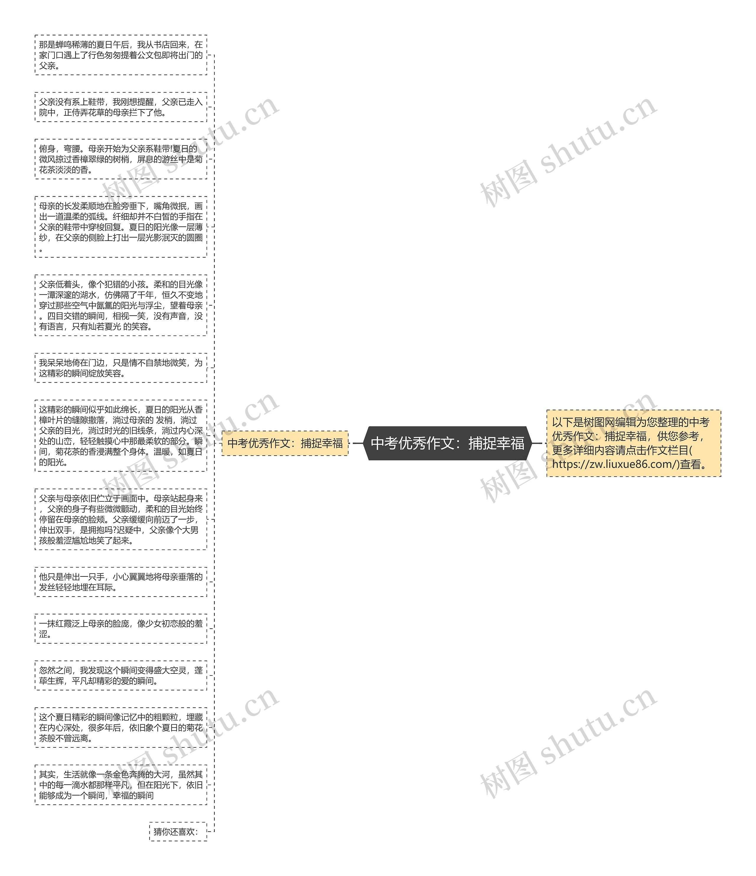 中考优秀作文：捕捉幸福