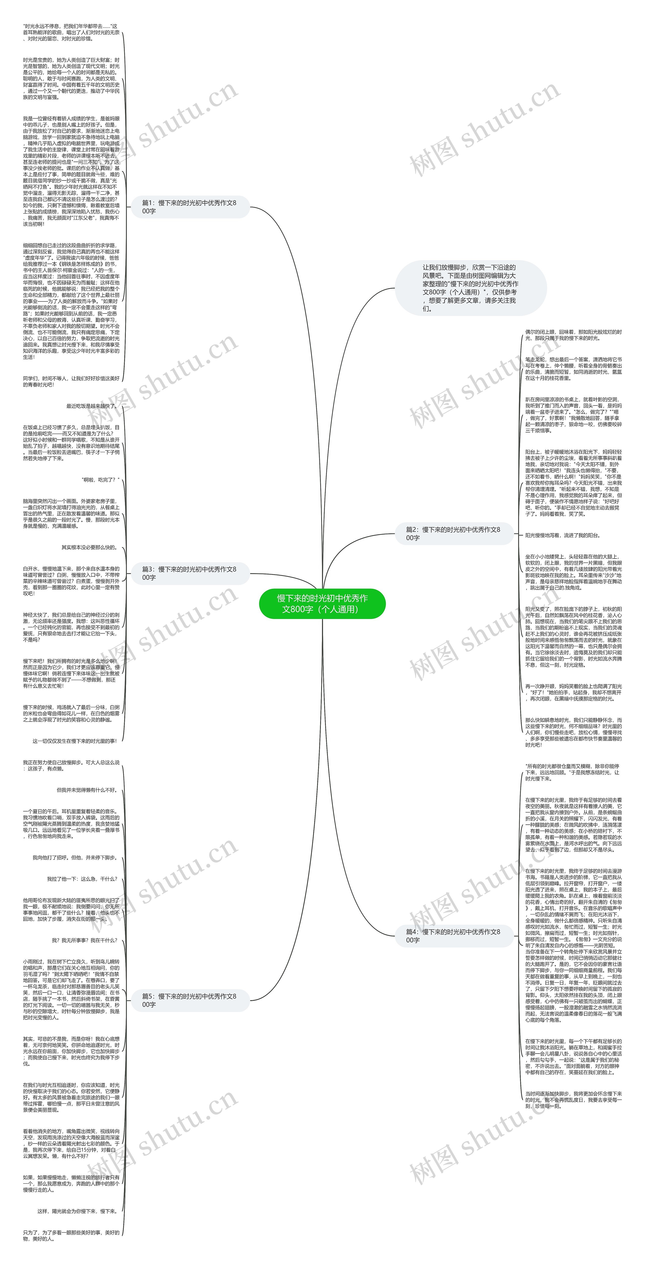 慢下来的时光初中优秀作文800字（个人通用）思维导图