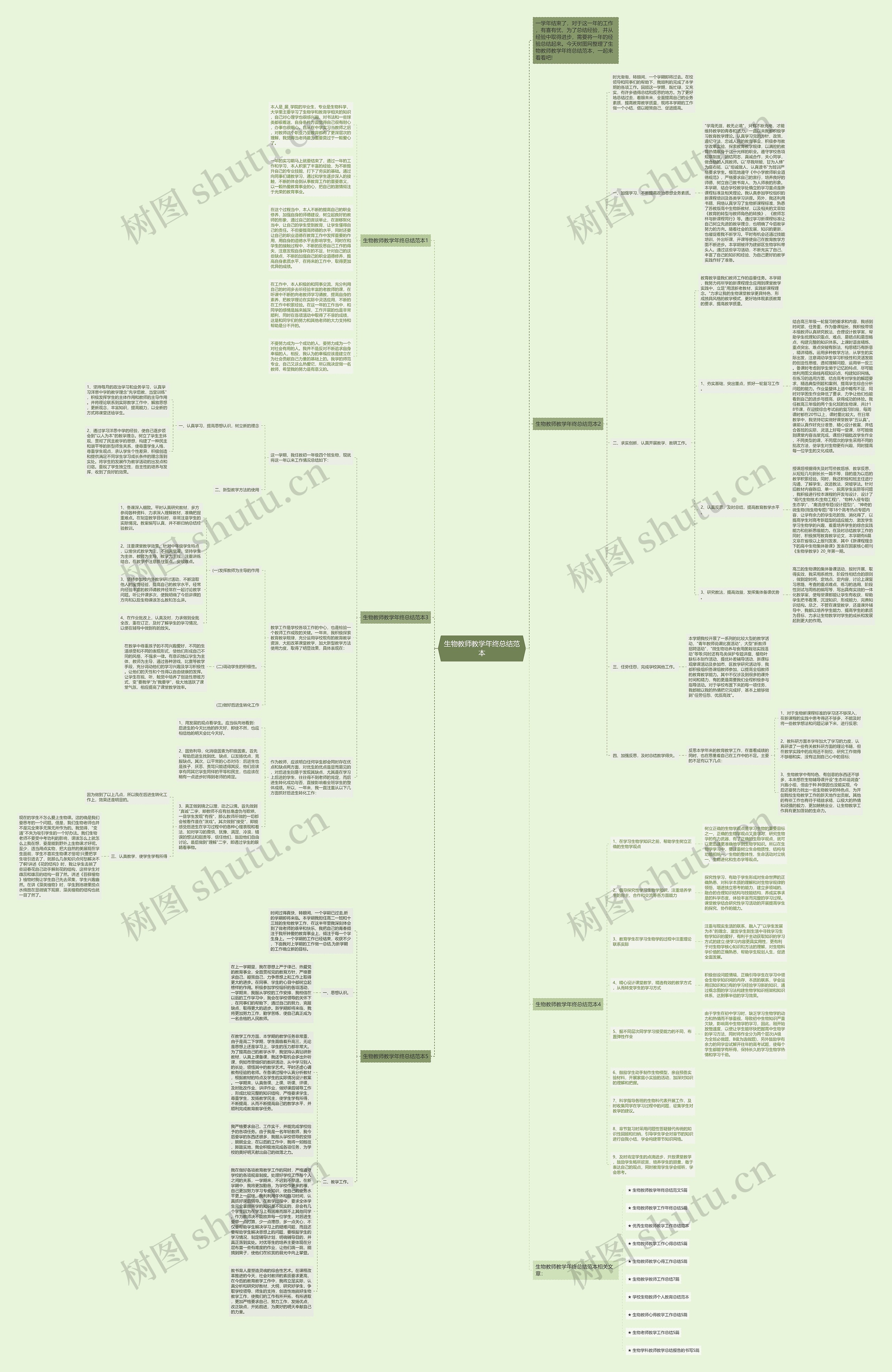 生物教师教学年终总结范本思维导图