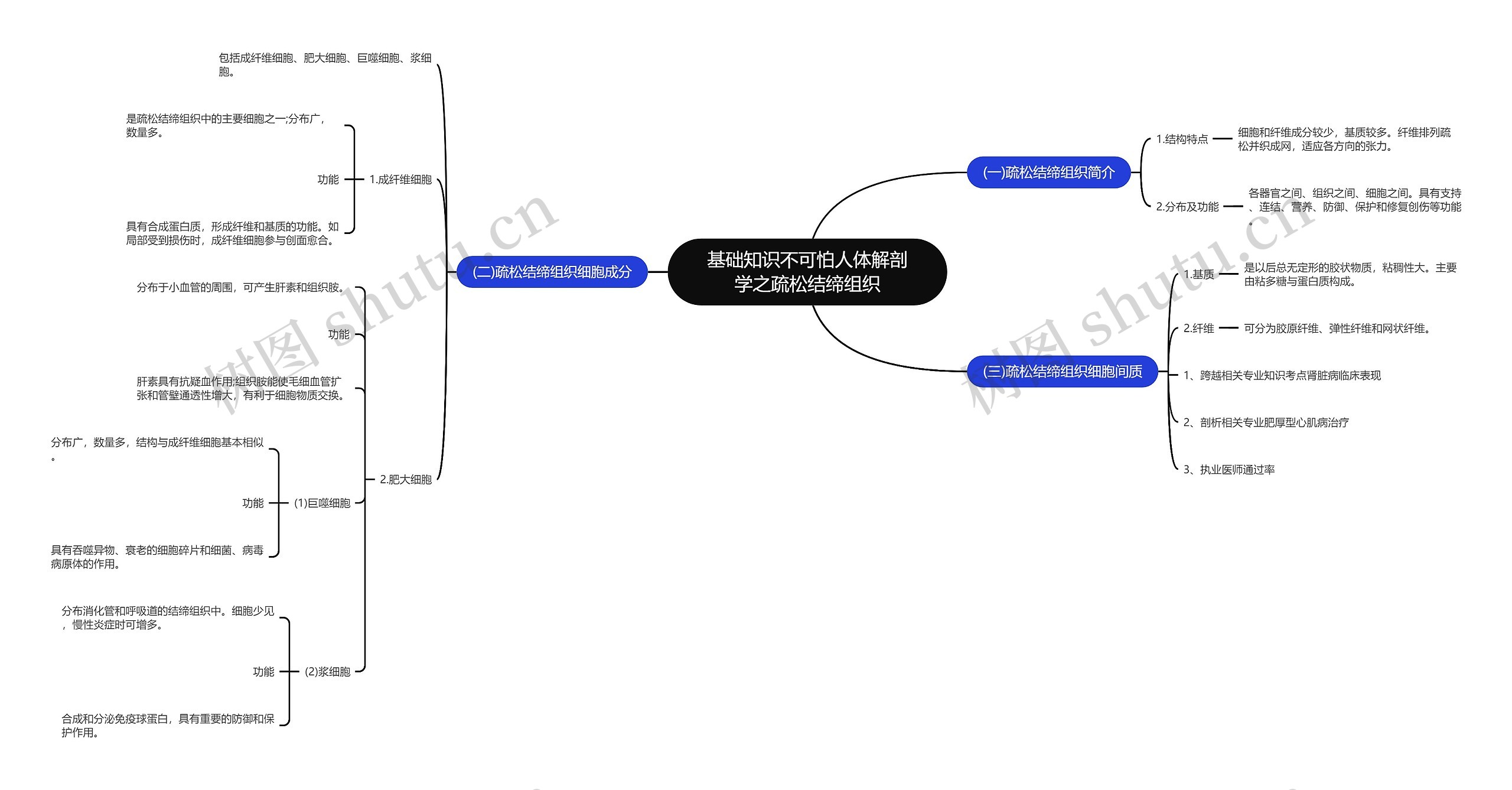 基础知识不可怕人体解剖学之疏松结缔组织思维导图