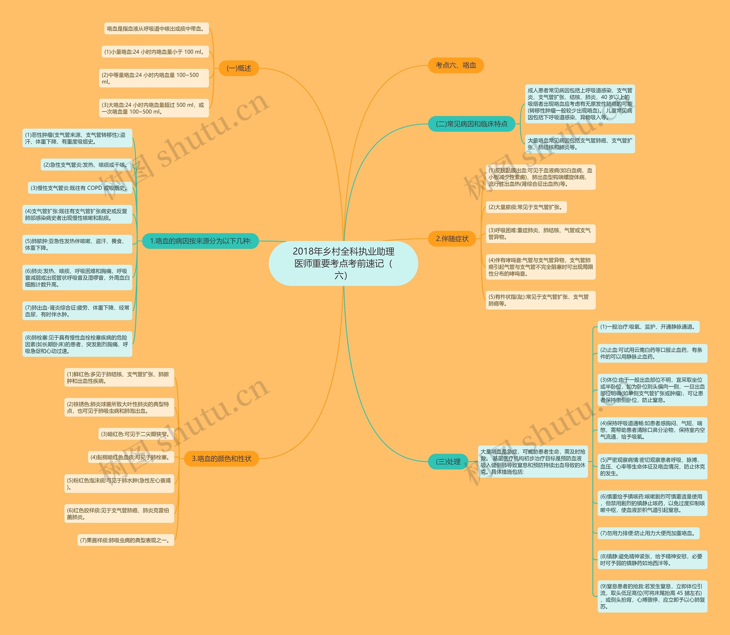 2018年乡村全科执业助理医师重要考点考前速记（六）思维导图