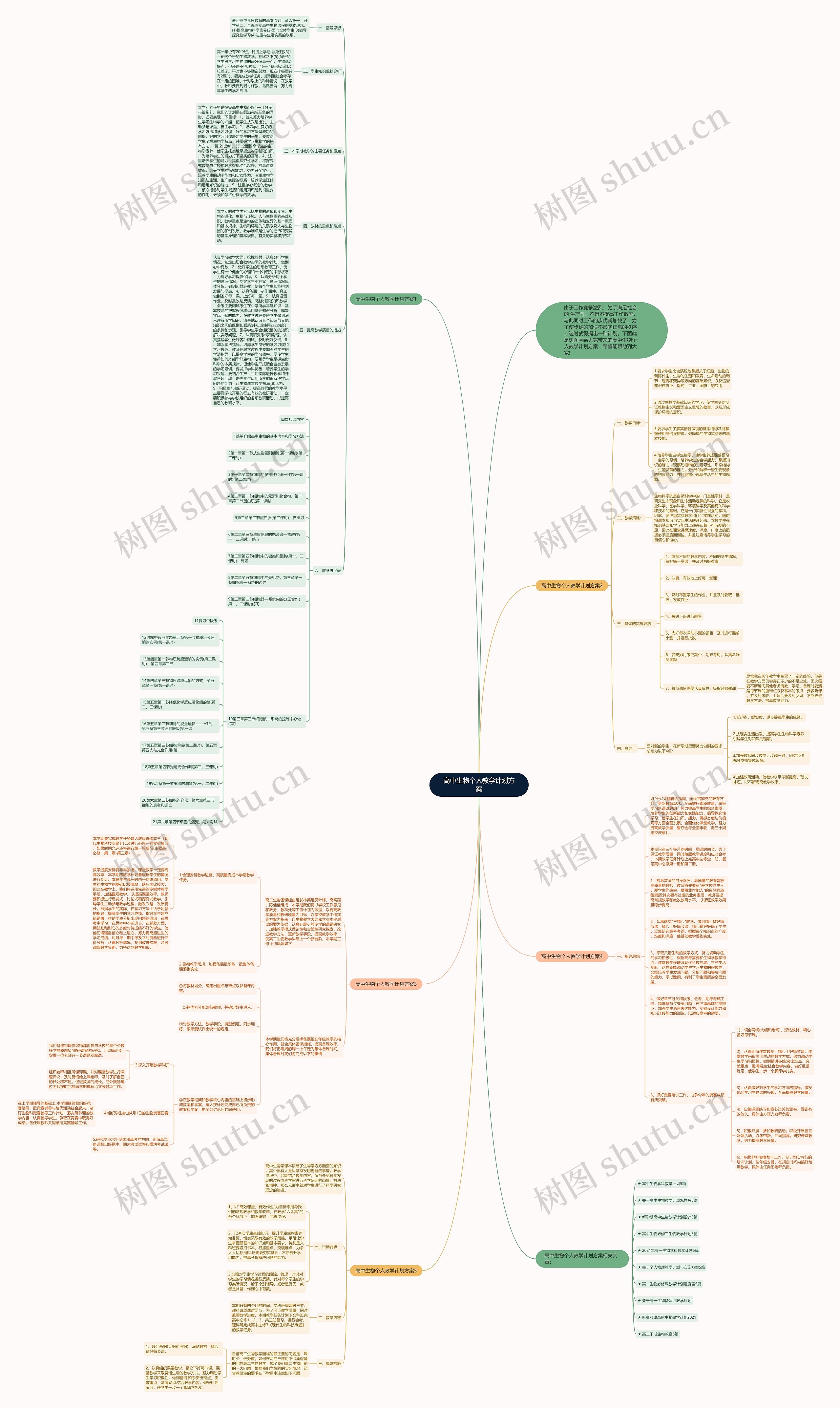 高中生物个人教学计划方案思维导图