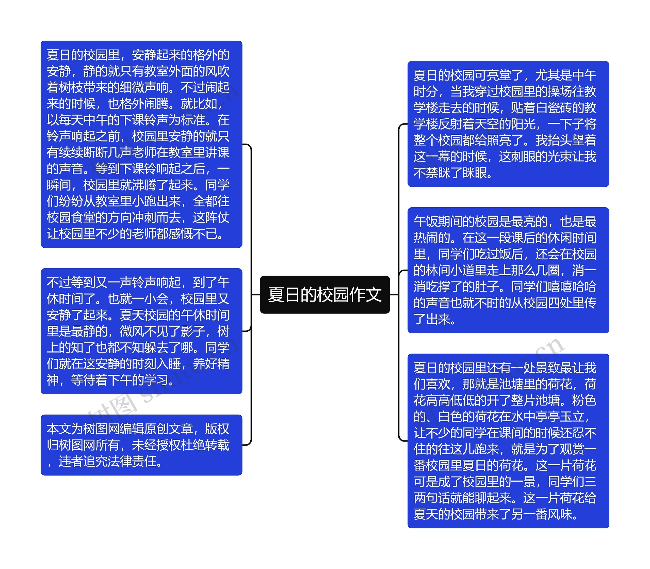 夏日的校园作文