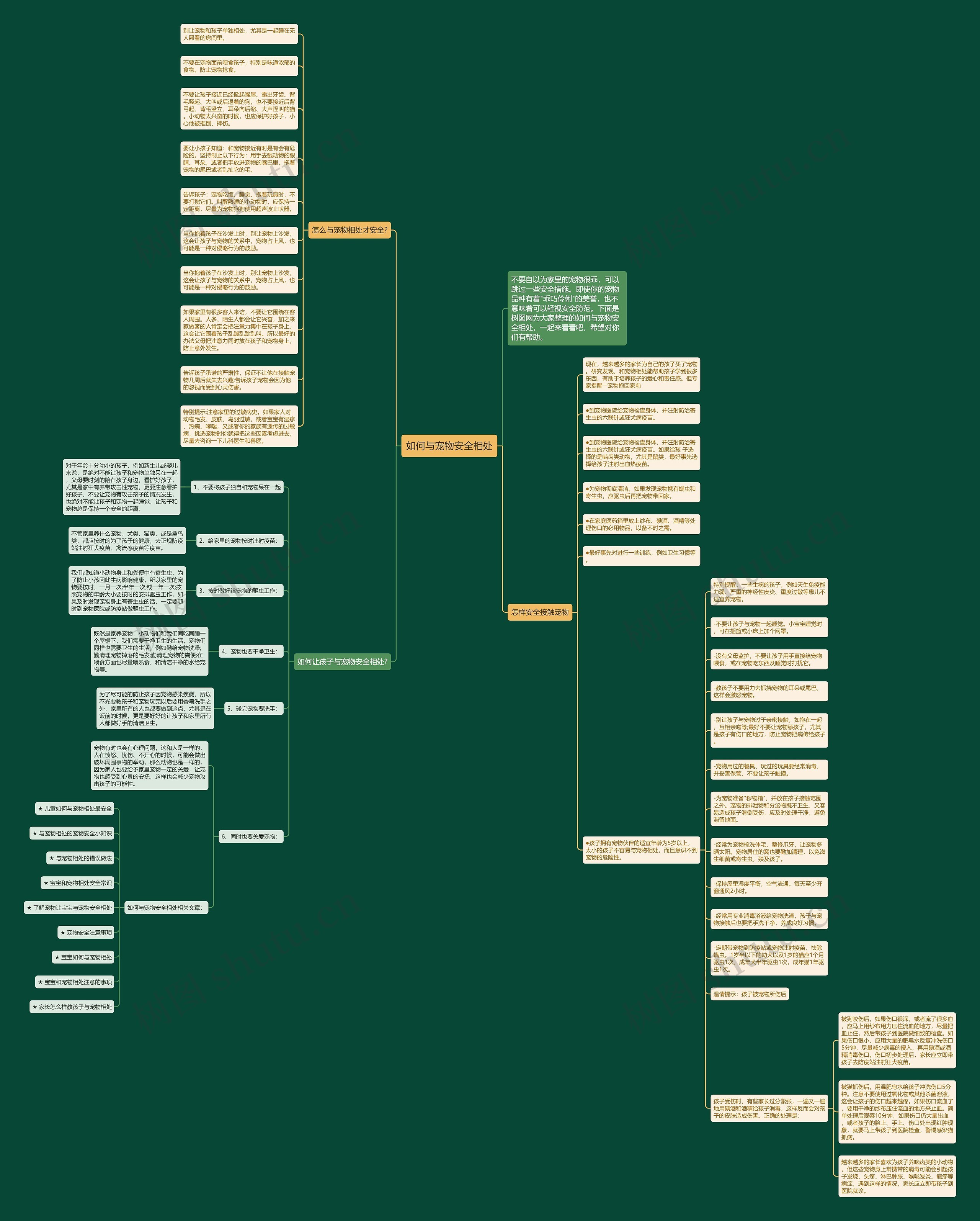 如何与宠物安全相处思维导图
