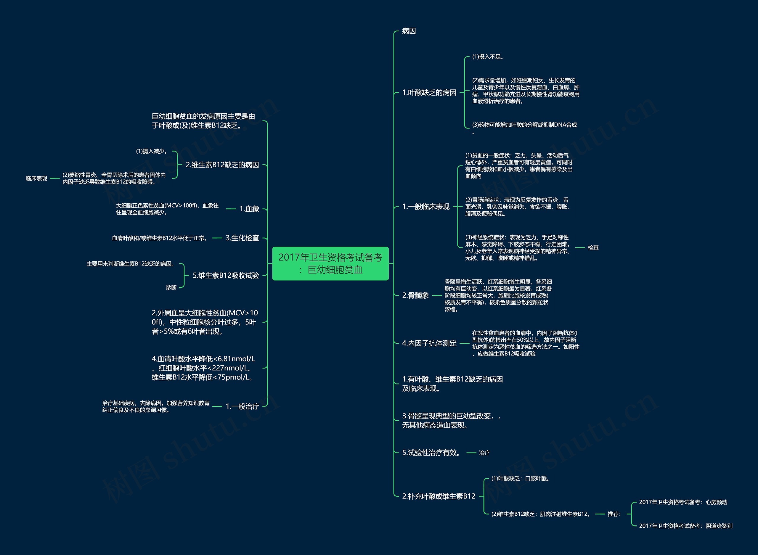 2017年卫生资格考试备考：巨幼细胞贫血