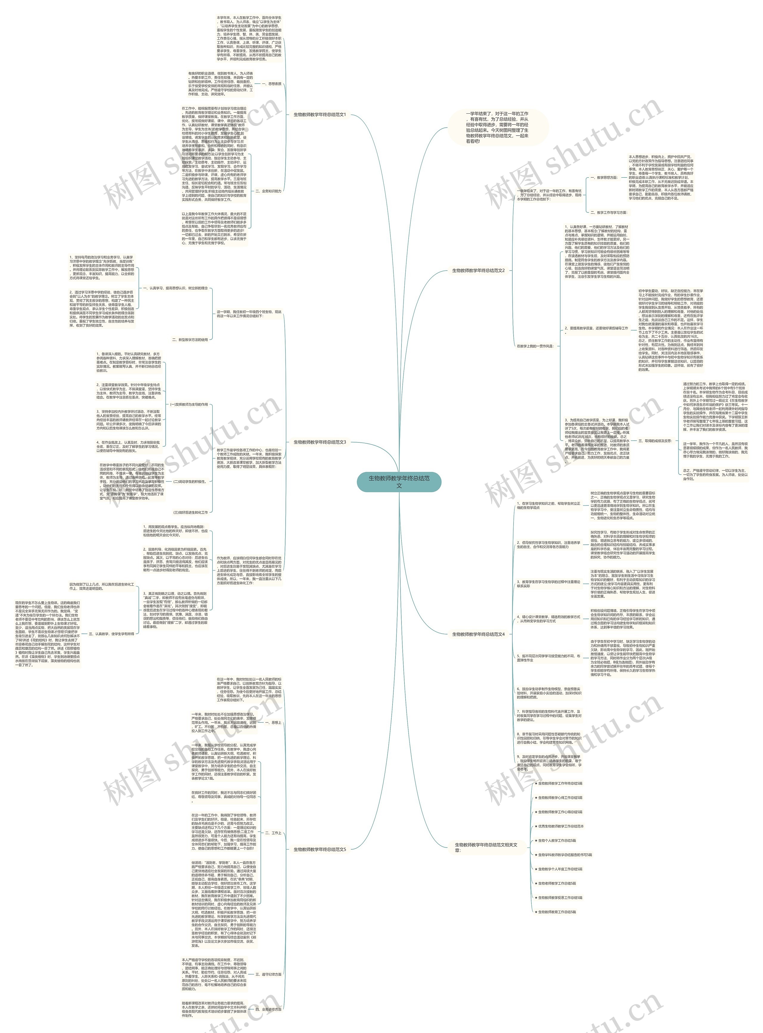 生物教师教学年终总结范文思维导图