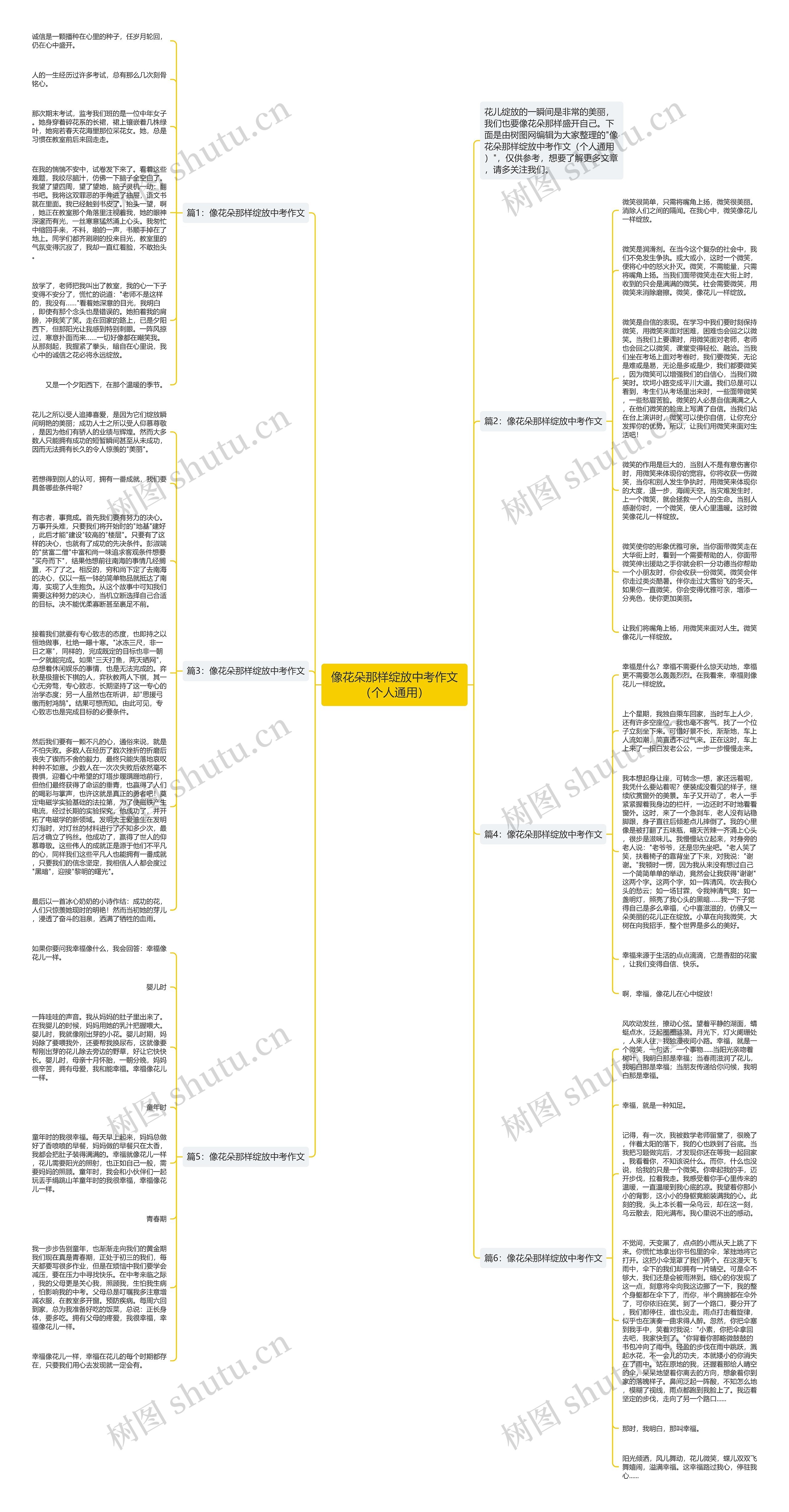 像花朵那样绽放中考作文（个人通用）思维导图
