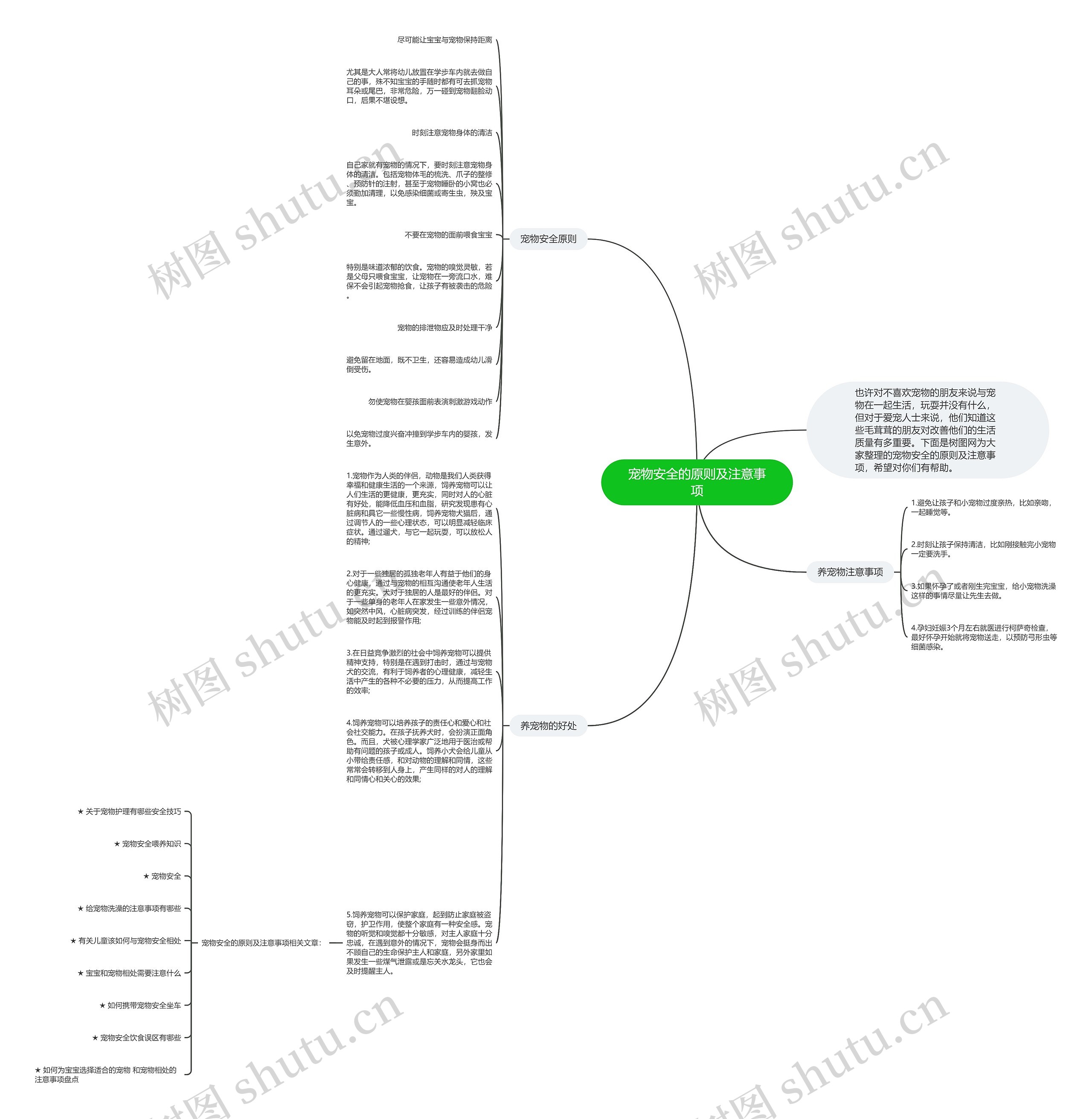 宠物安全的原则及注意事项思维导图