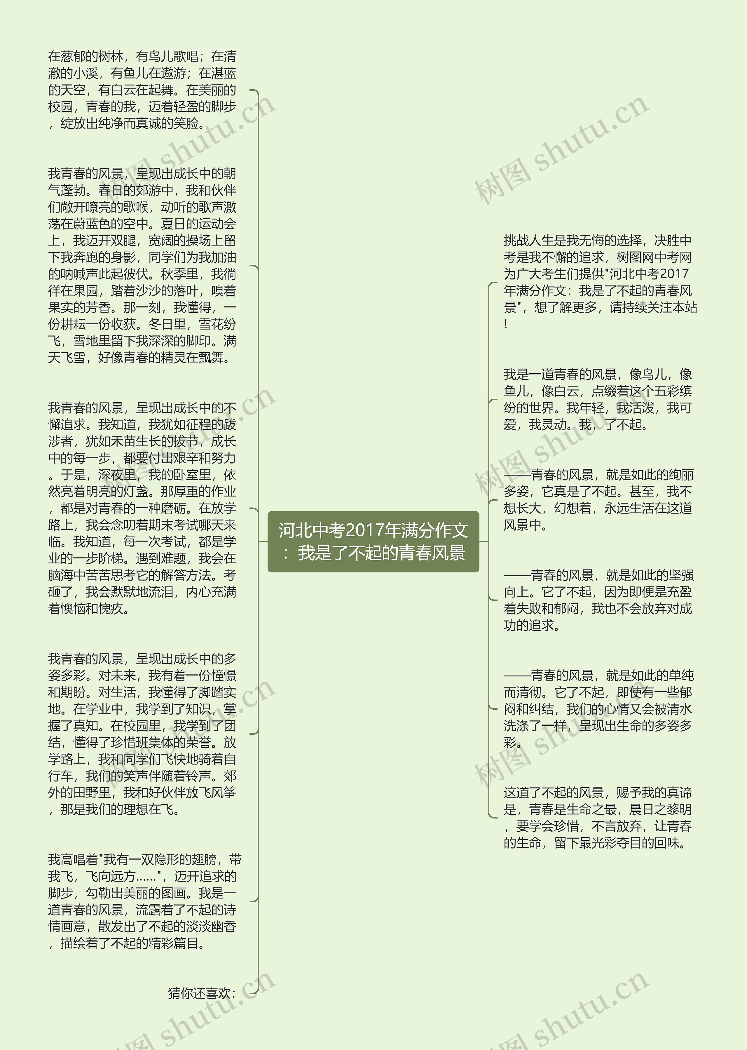 河北中考2017年满分作文：我是了不起的青春风景