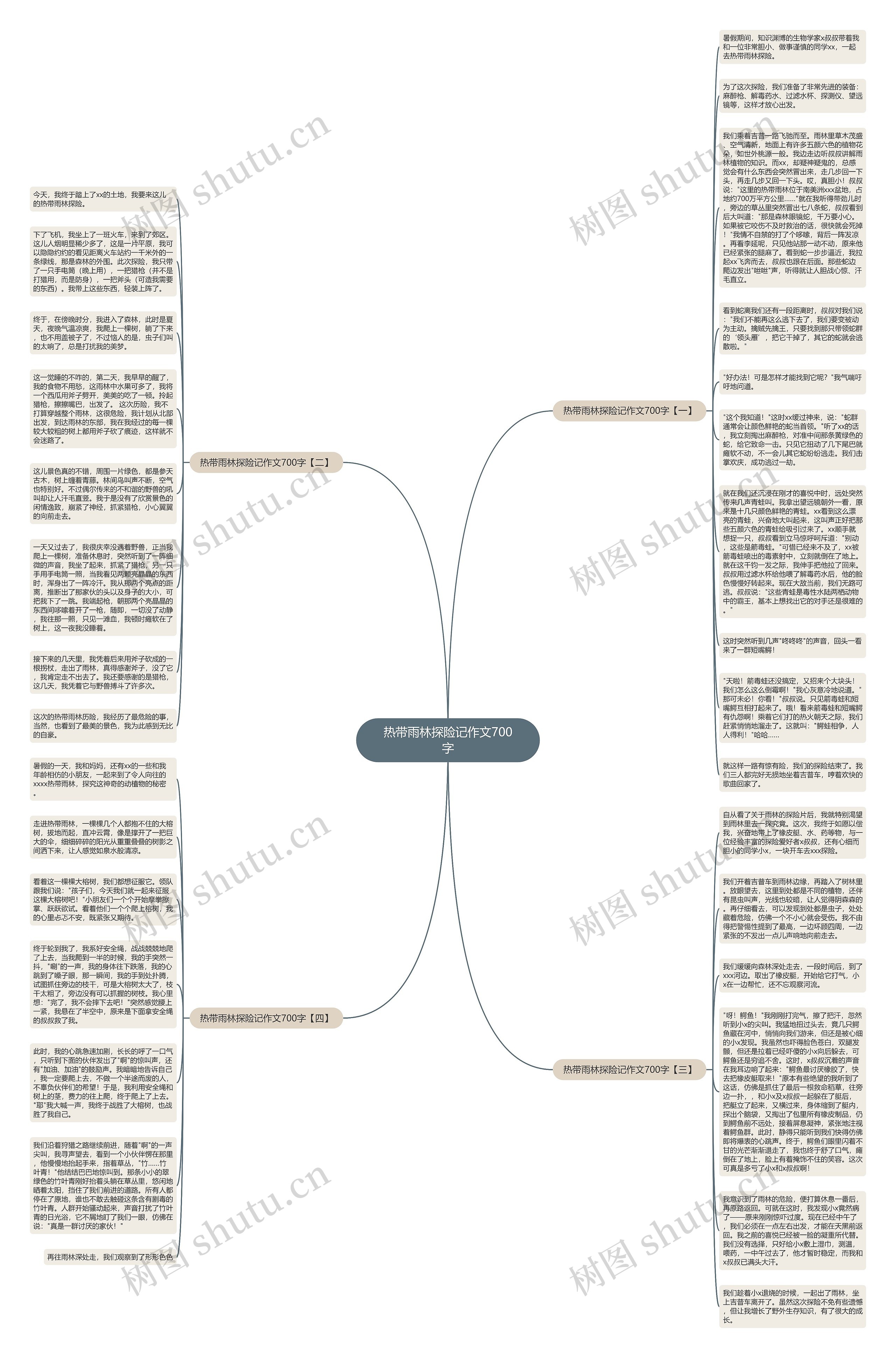 热带雨林探险记作文700字思维导图