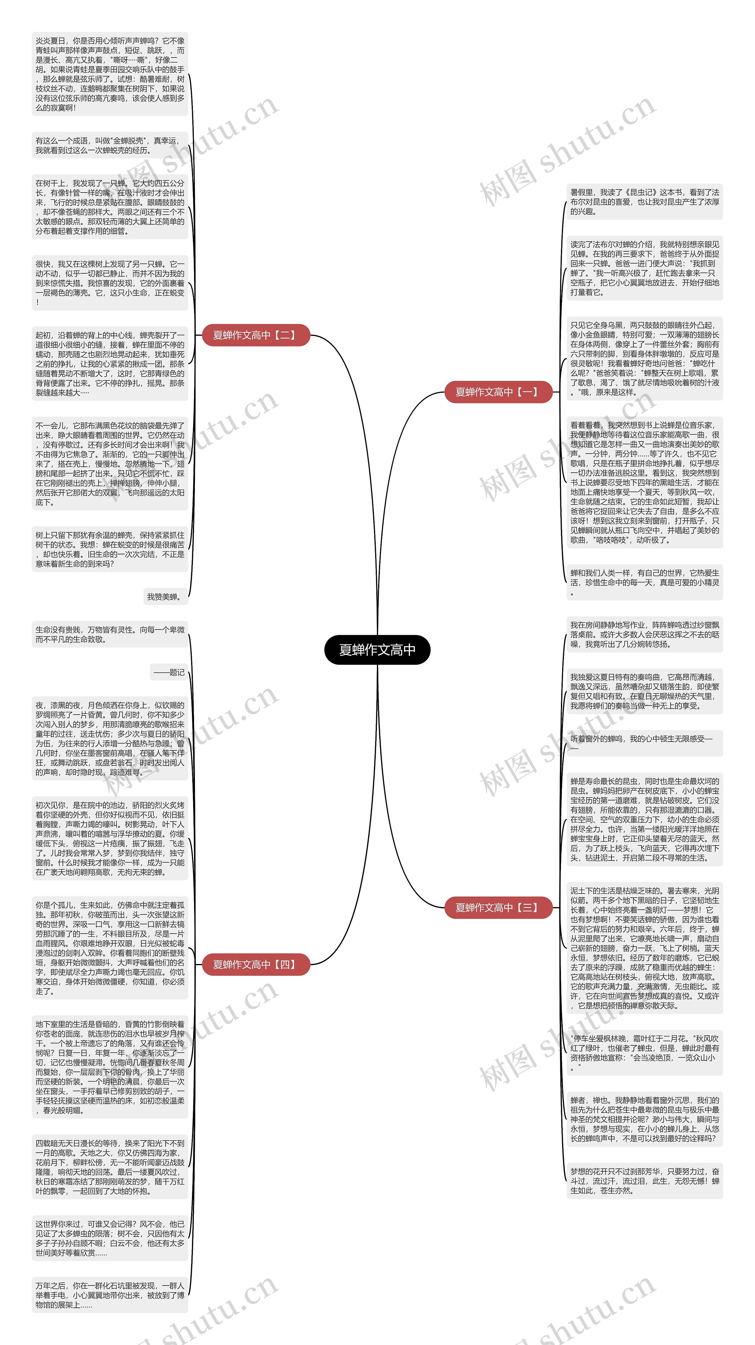 夏蝉作文高中思维导图