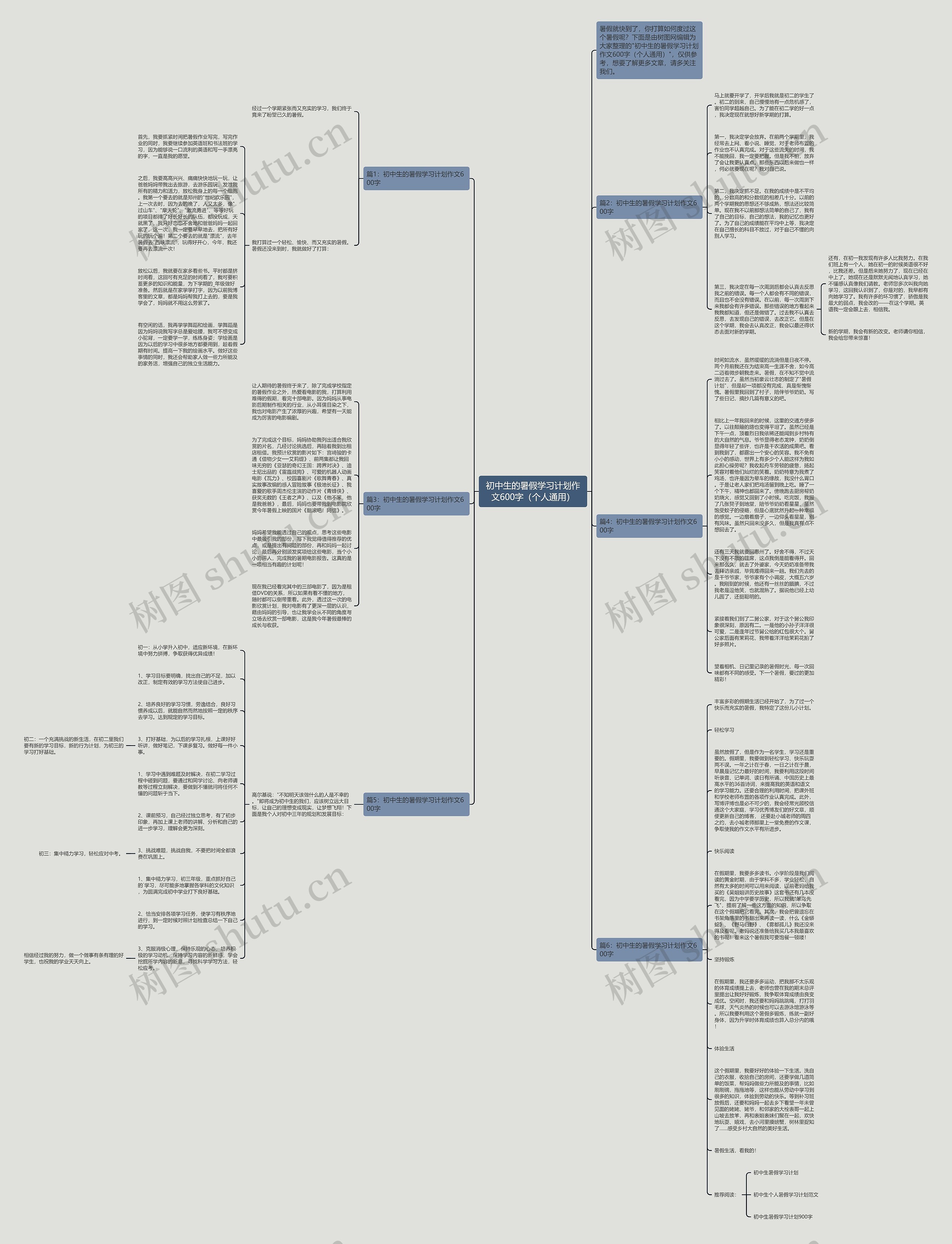 初中生的暑假学习计划作文600字（个人通用）思维导图