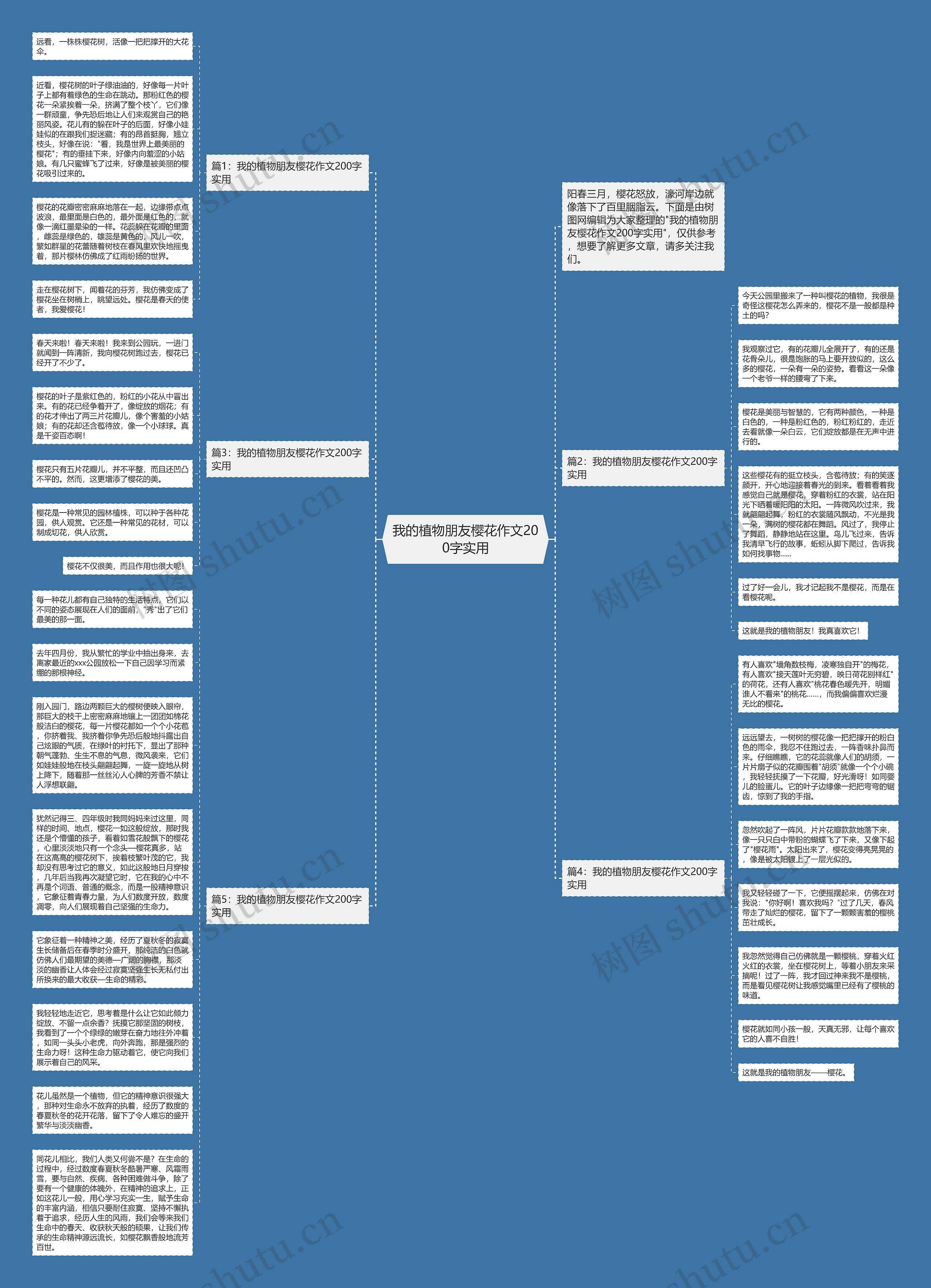 我的植物朋友樱花作文200字实用思维导图