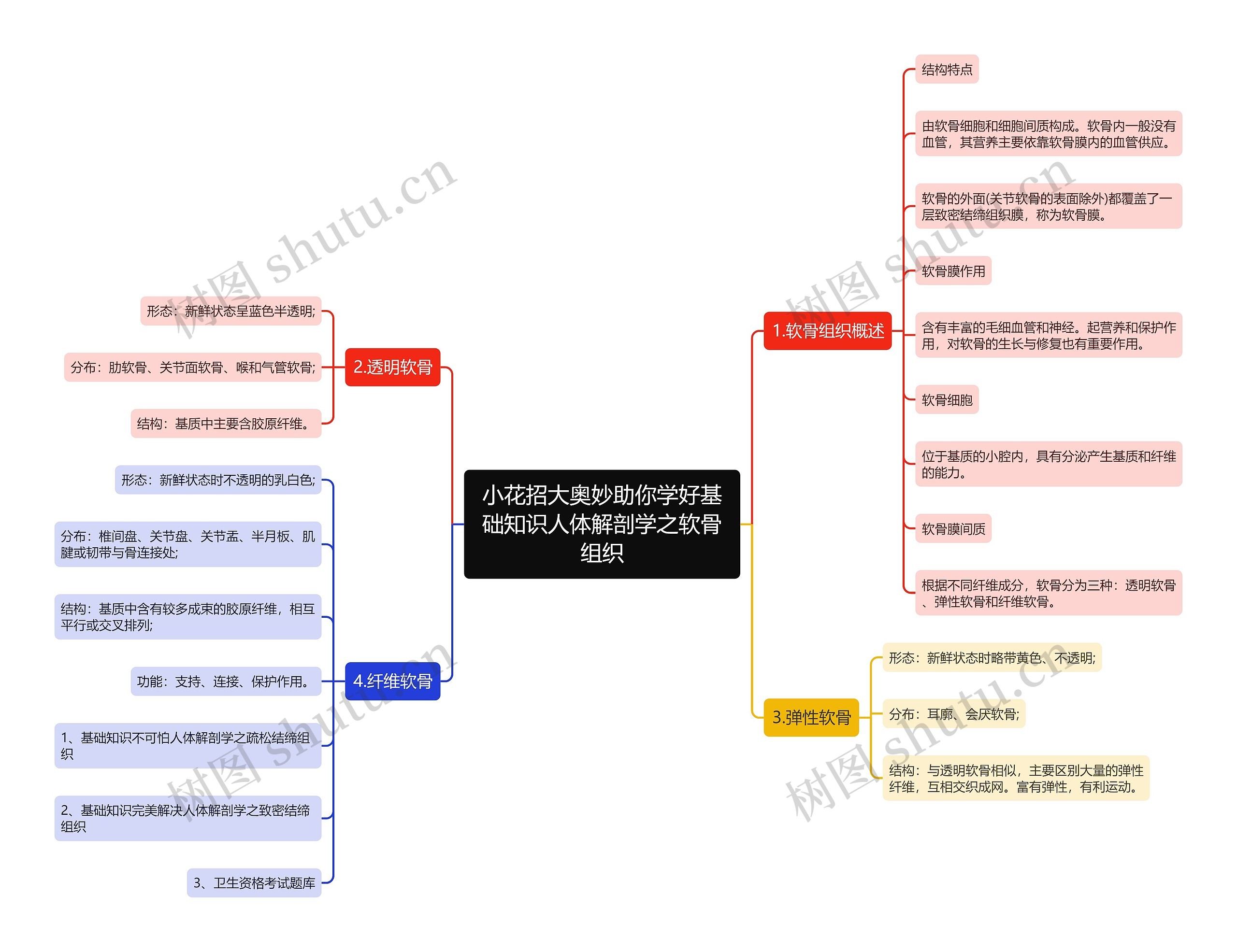 小花招大奥妙助你学好基础知识人体解剖学之软骨组织思维导图