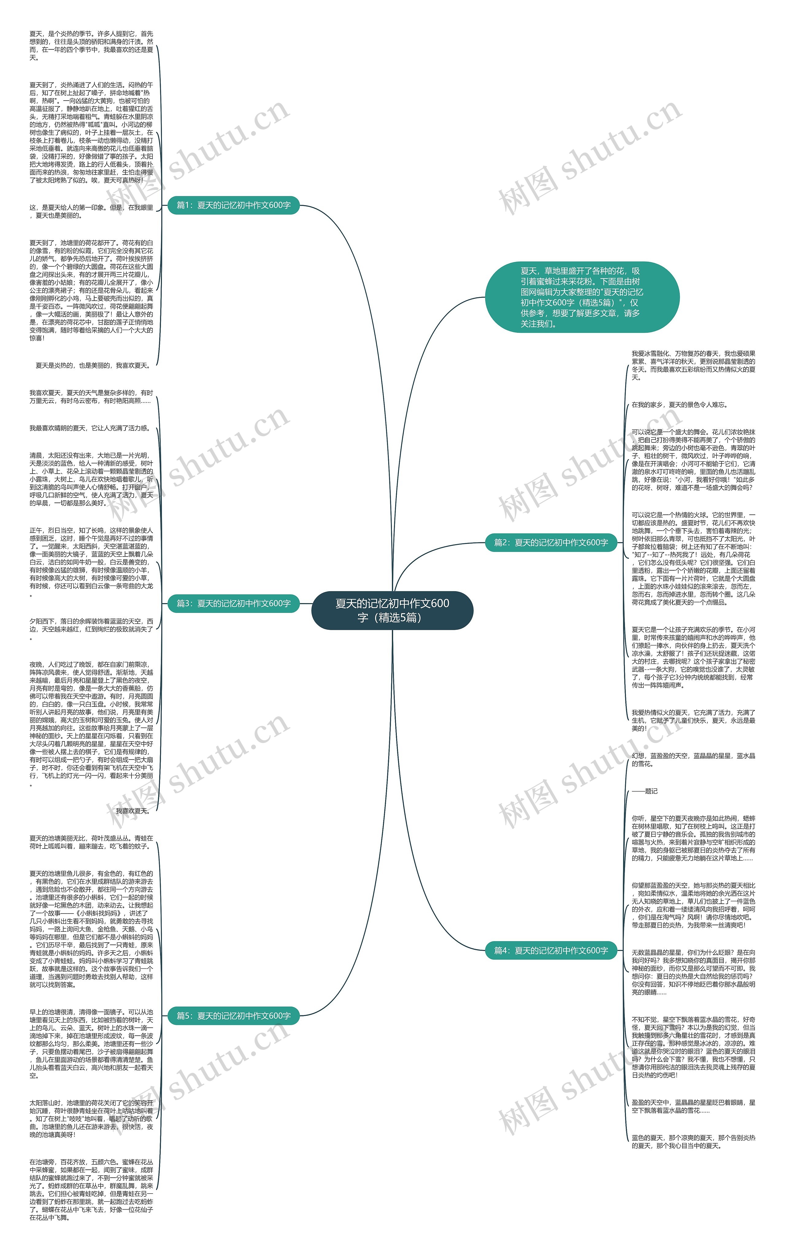 夏天的记忆初中作文600字（精选5篇）思维导图