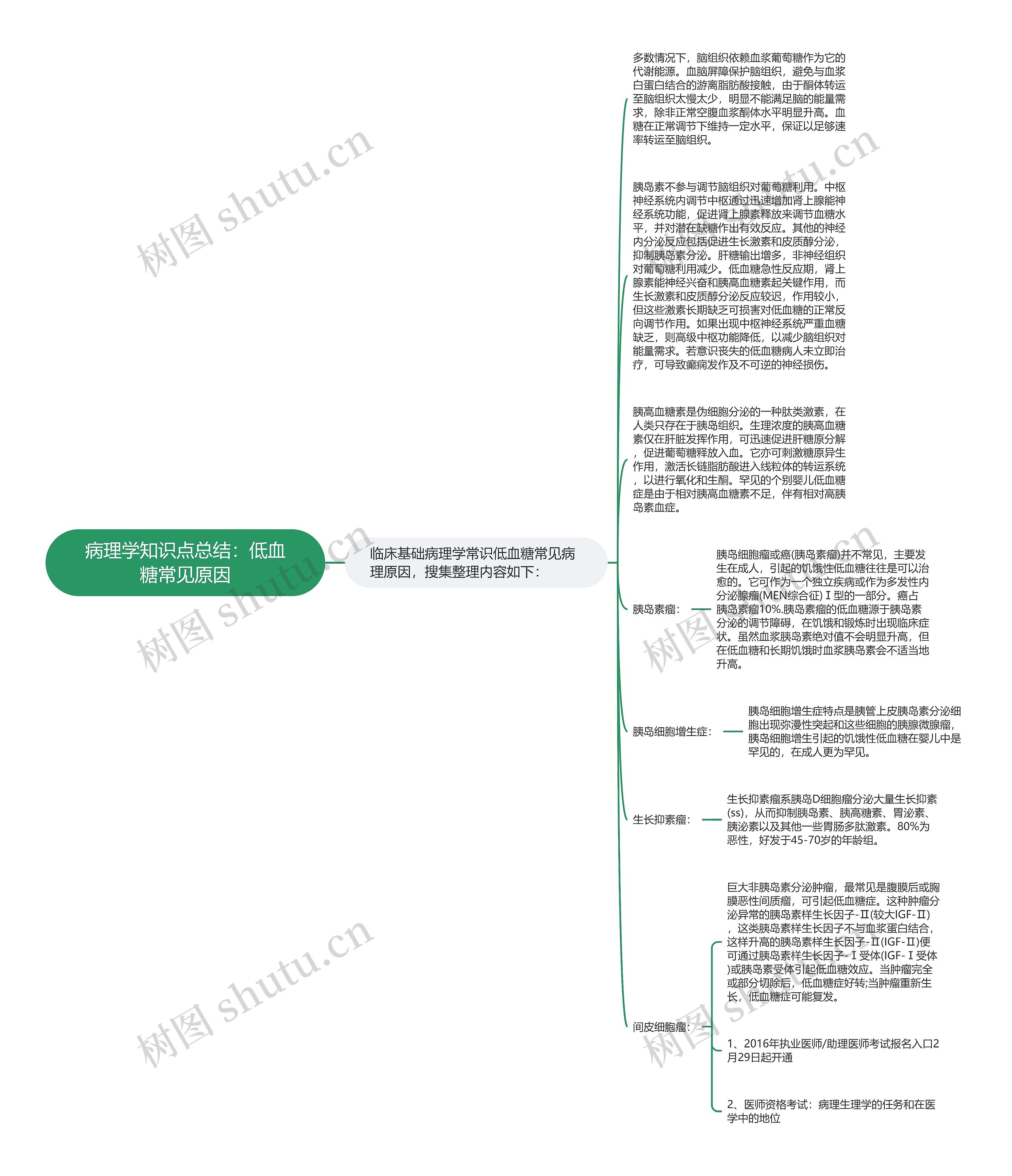 病理学知识点总结：低血糖常见原因思维导图