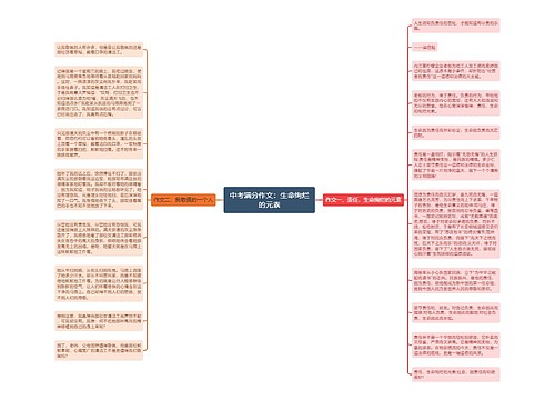 中考满分作文：生命绚烂的元素