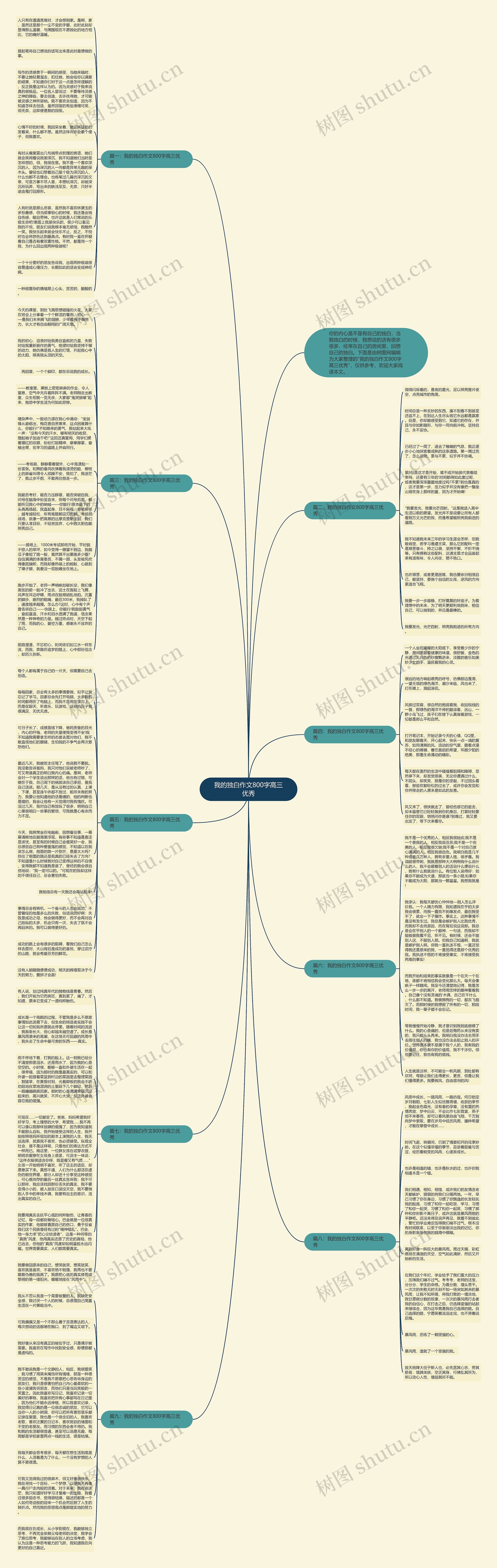 我的独白作文800字高三优秀思维导图