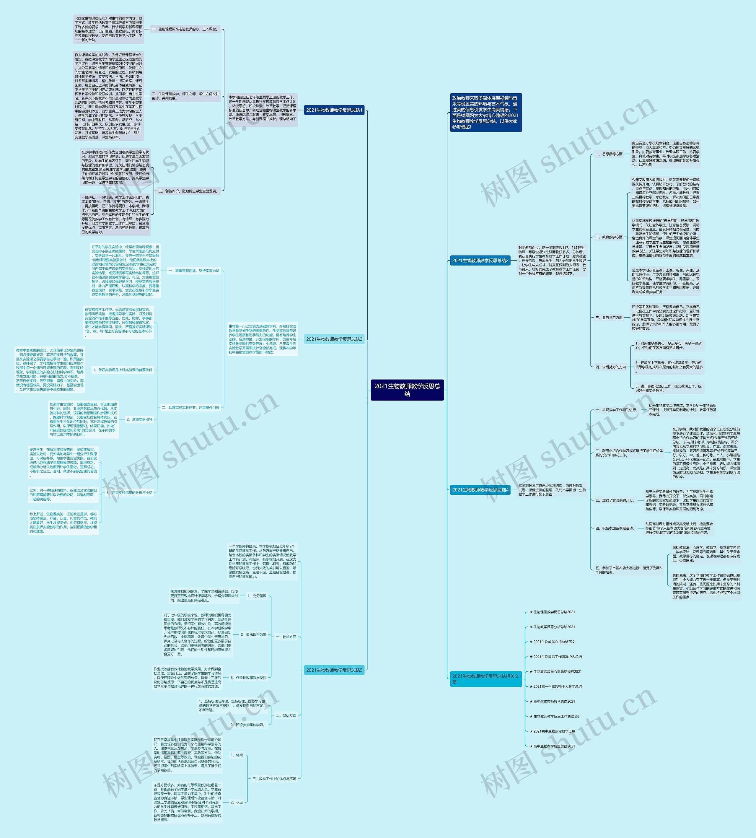 2021生物教师教学反思总结思维导图