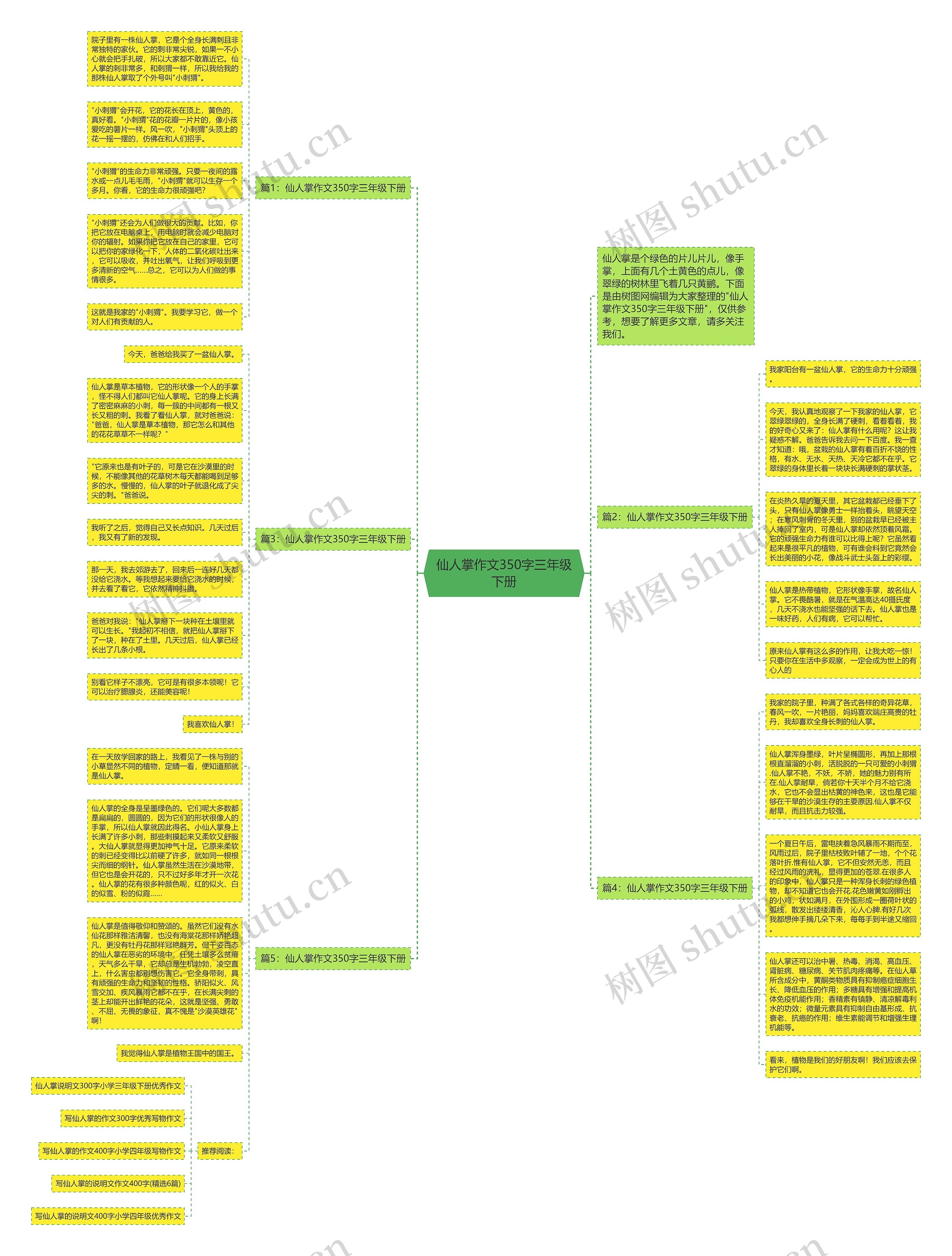 仙人掌作文350字三年级下册思维导图