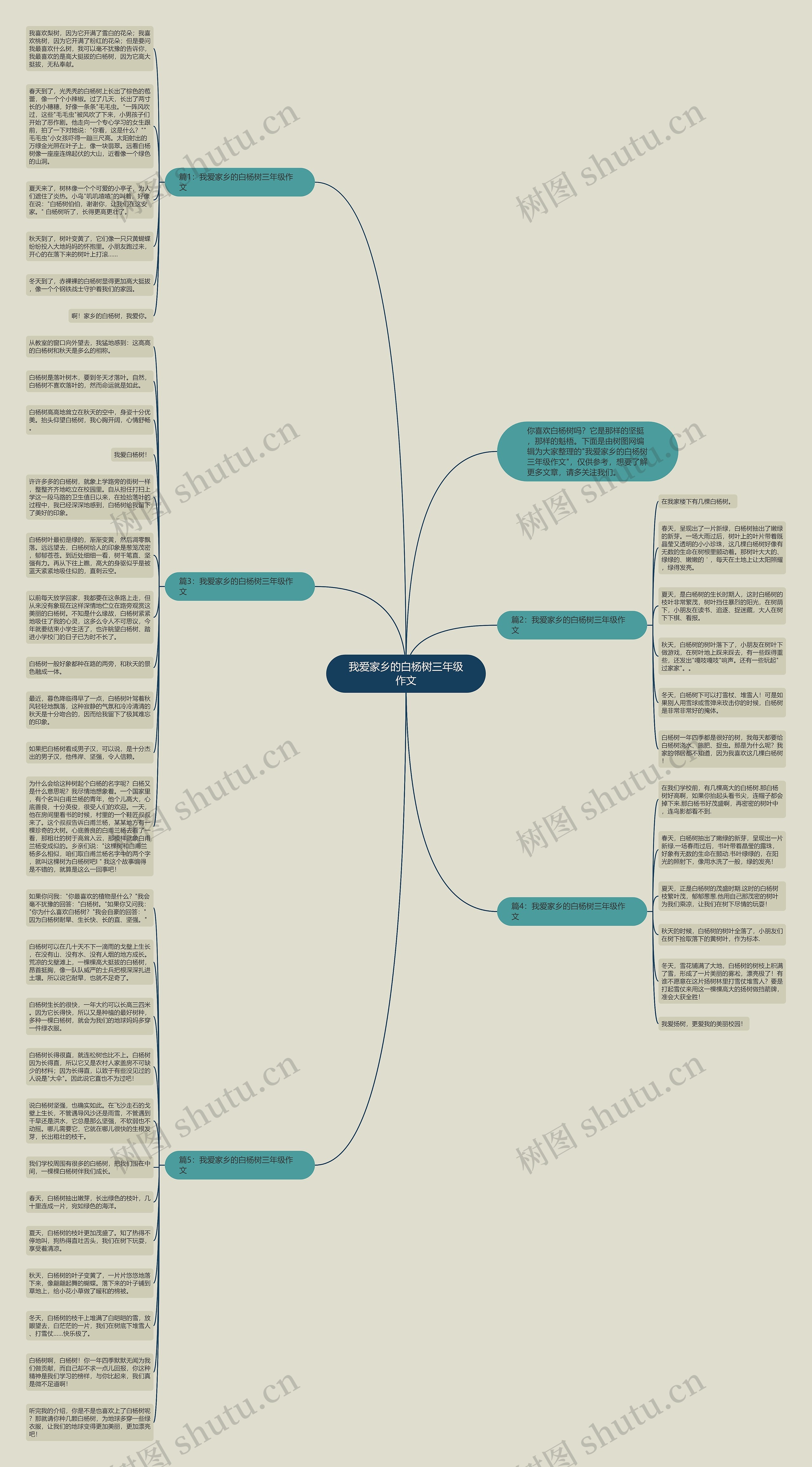 我爱家乡的白杨树三年级作文思维导图