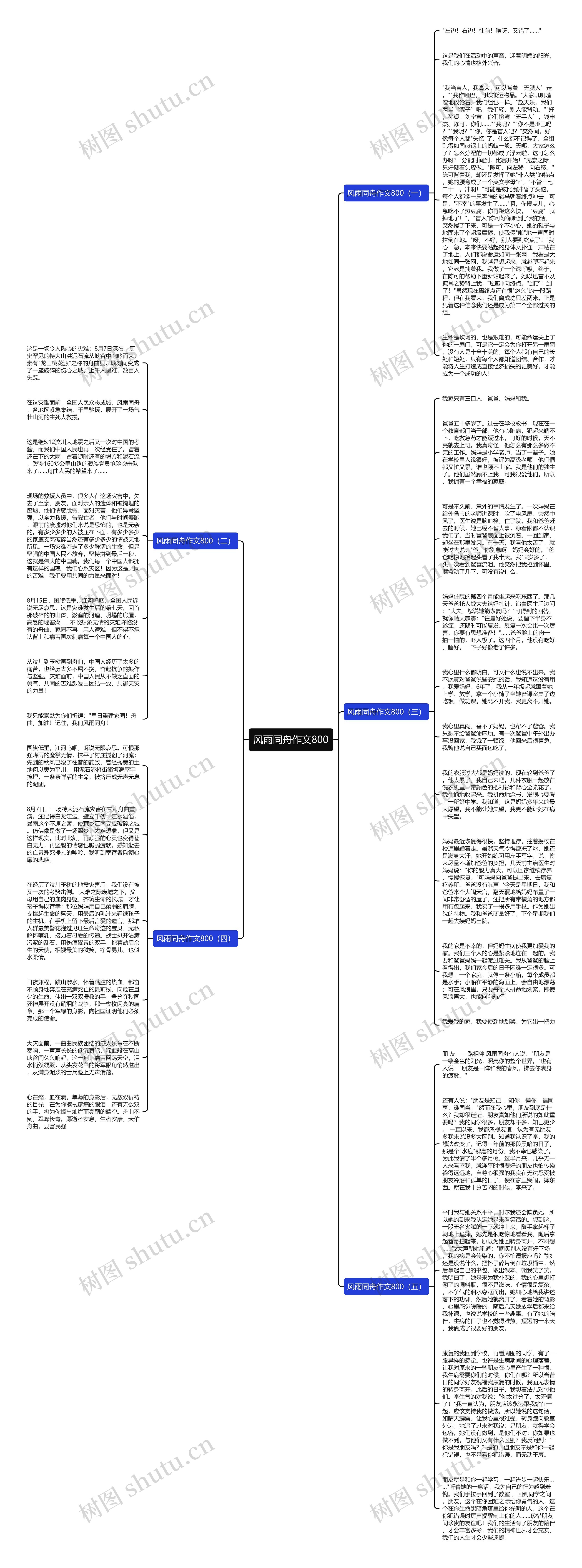 风雨同舟作文800思维导图