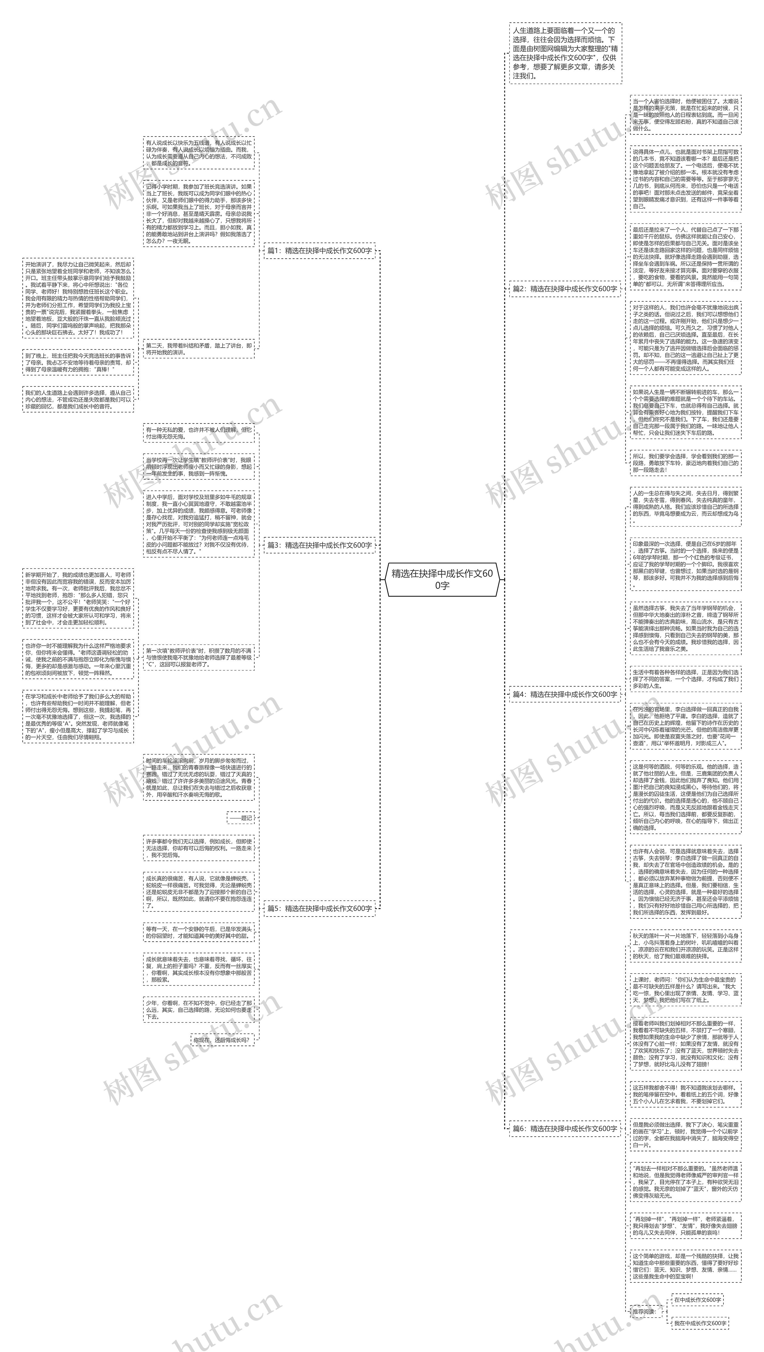 精选在抉择中成长作文600字