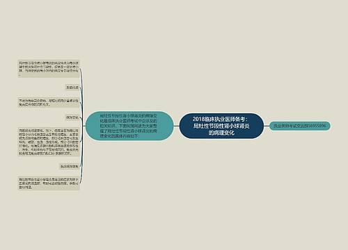 2018临床执业医师备考：局灶性节段性肾小球肾炎的病理变化