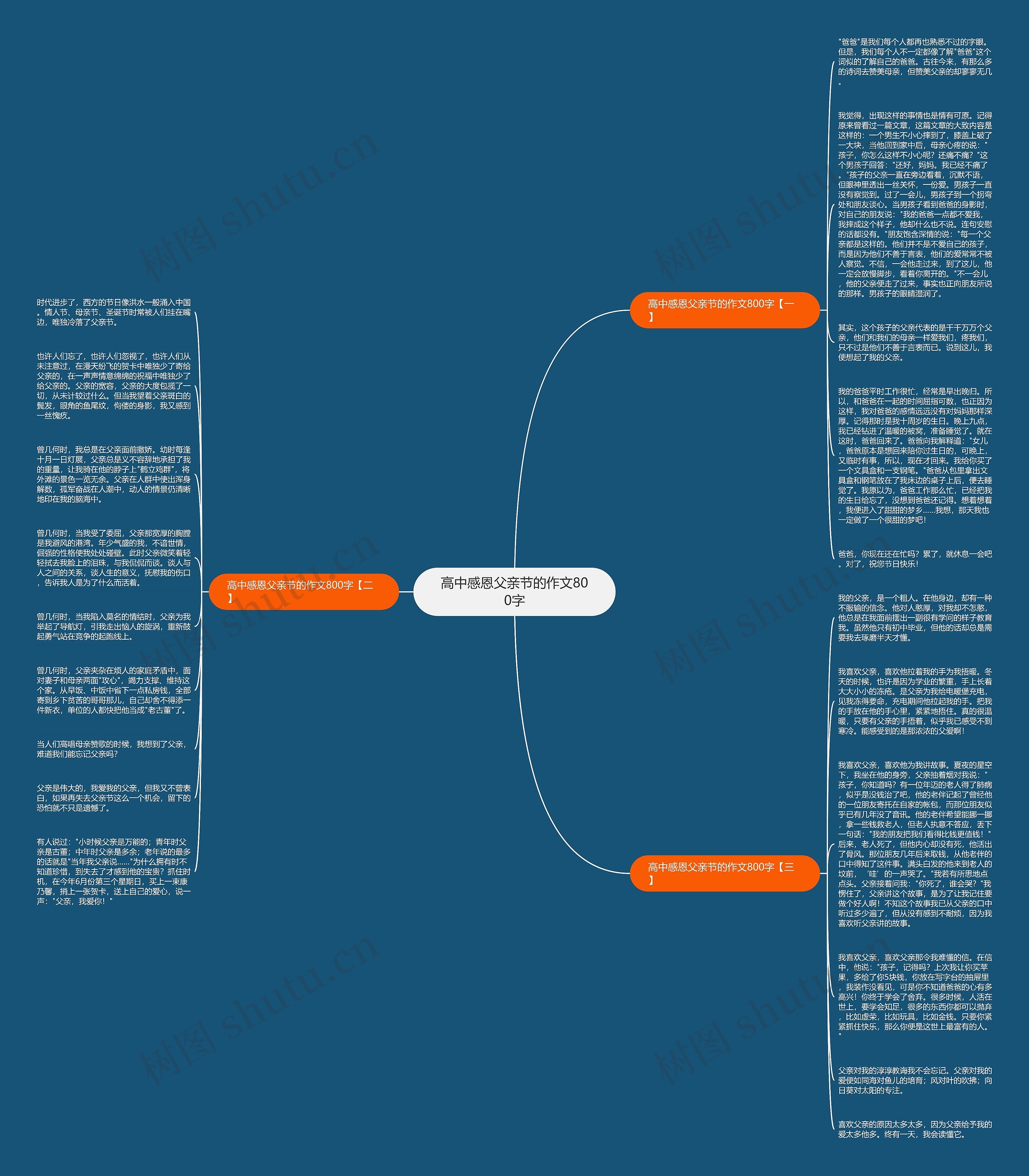 高中感恩父亲节的作文800字思维导图