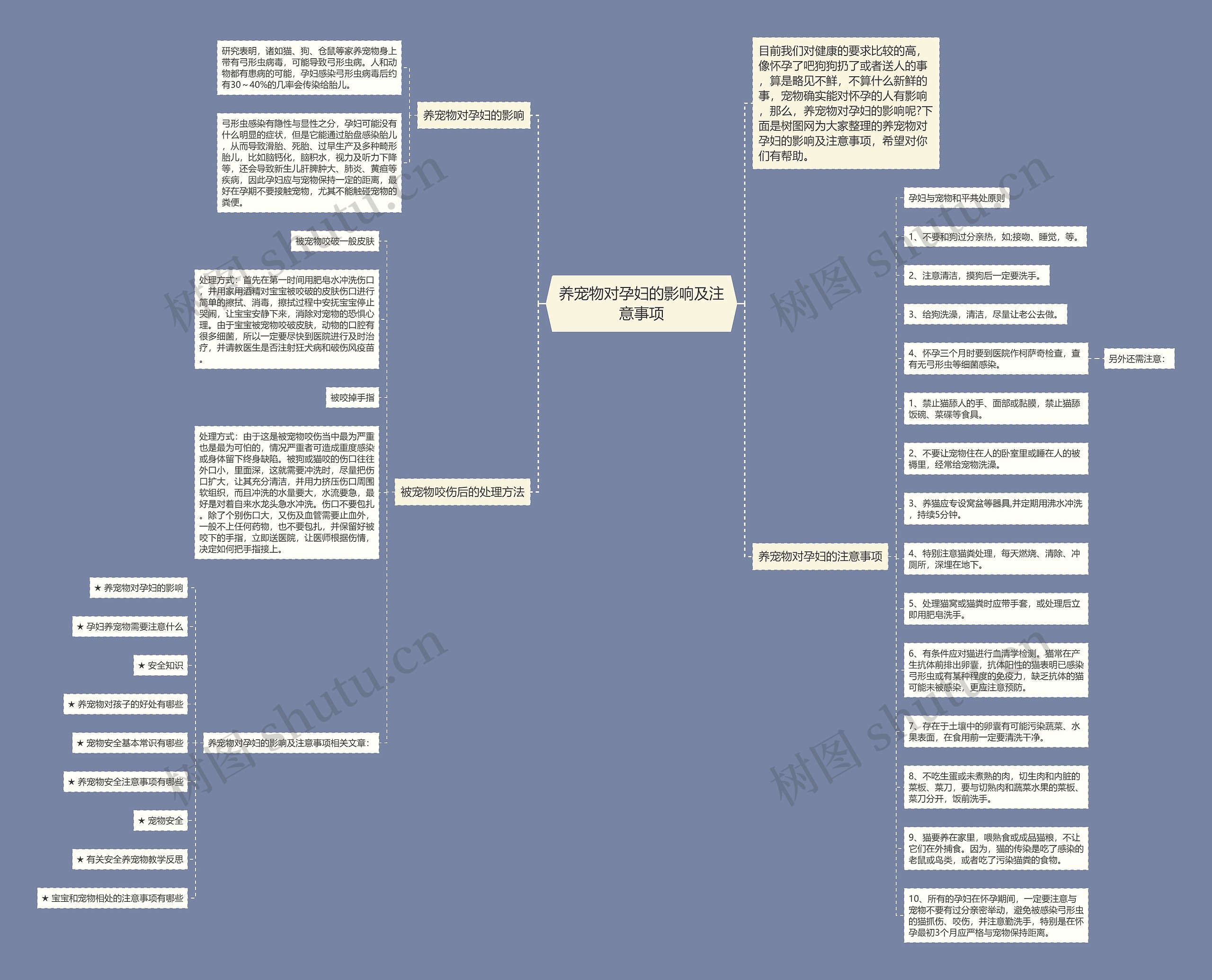 养宠物对孕妇的影响及注意事项思维导图