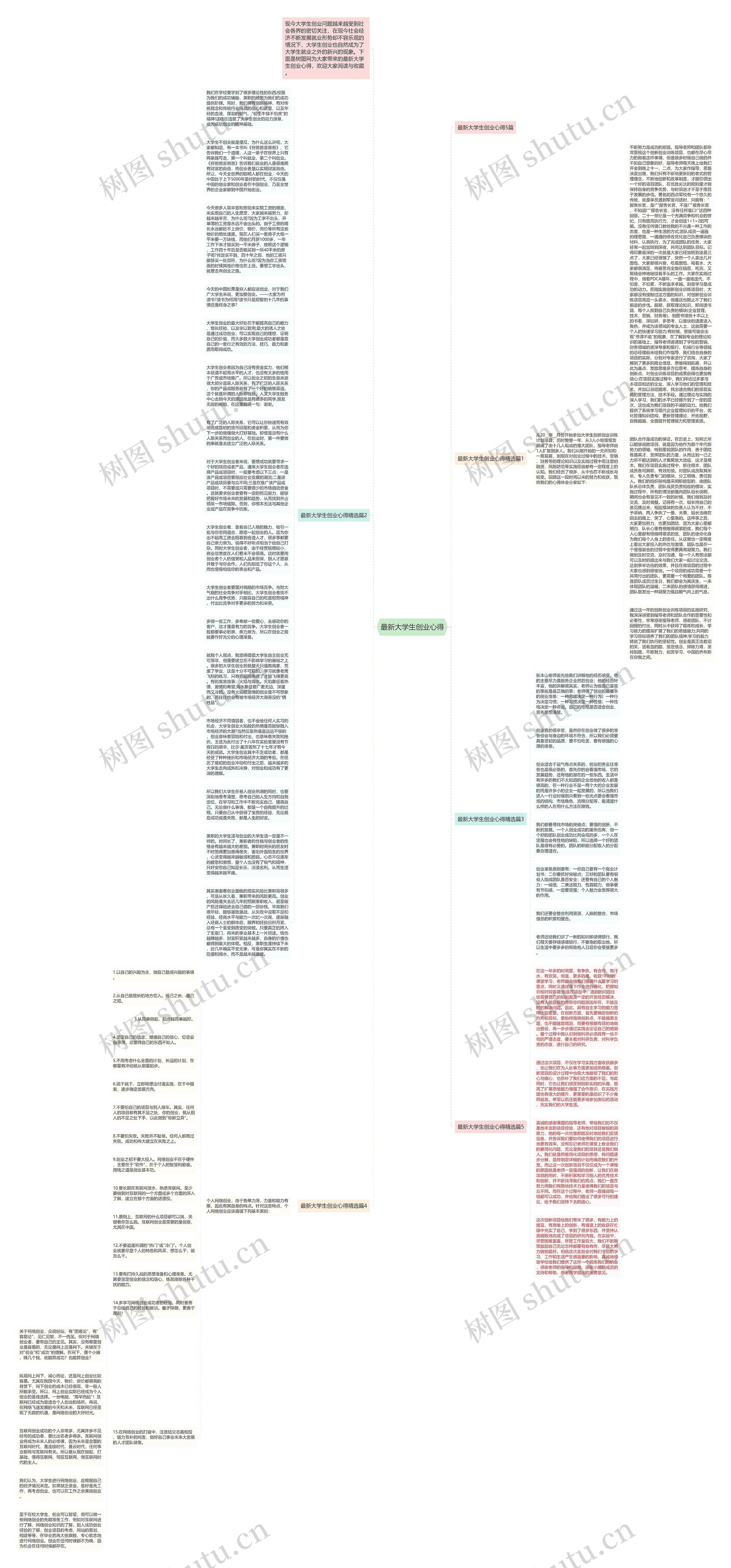 最新大学生创业心得思维导图