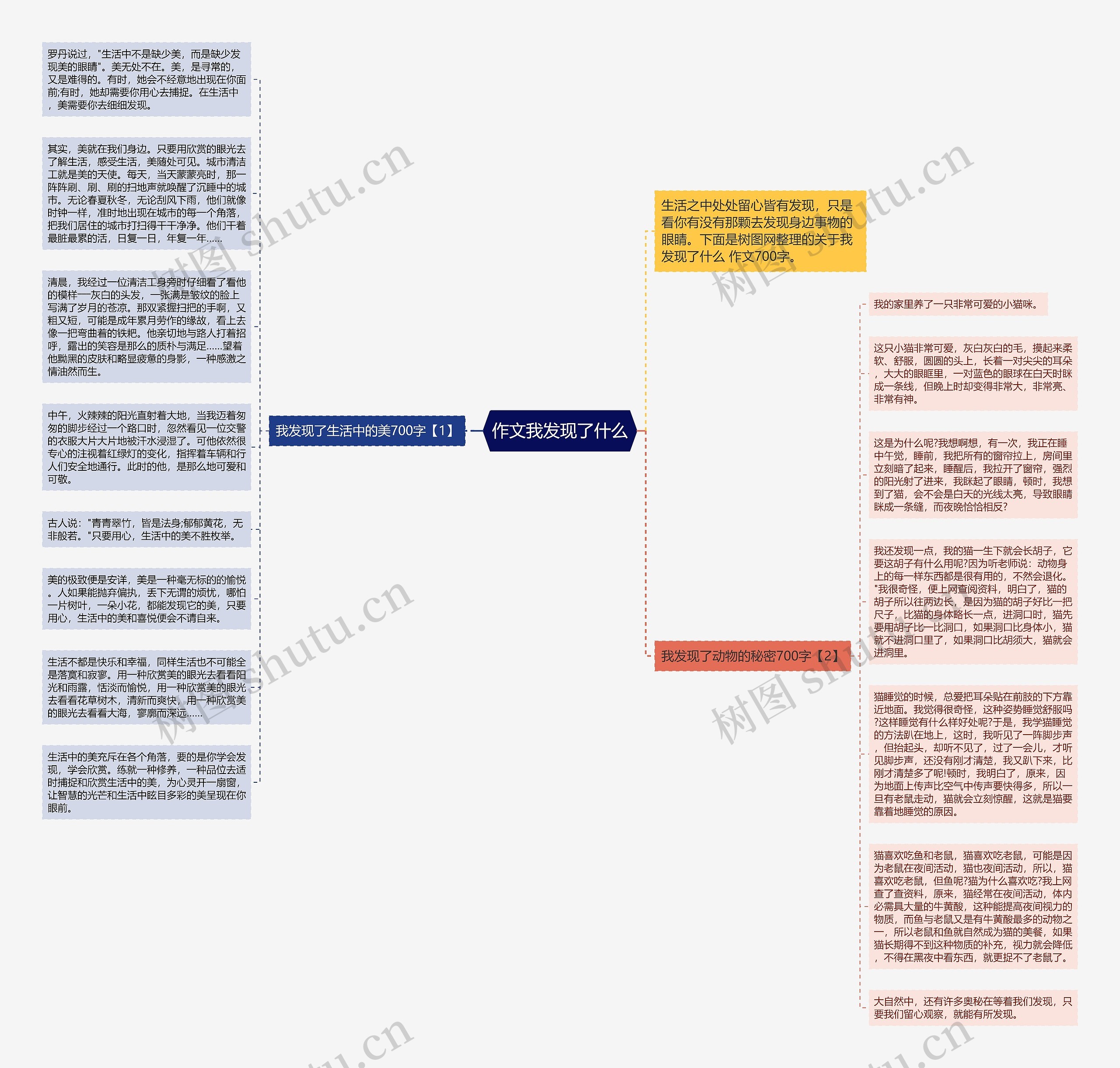 作文我发现了什么思维导图