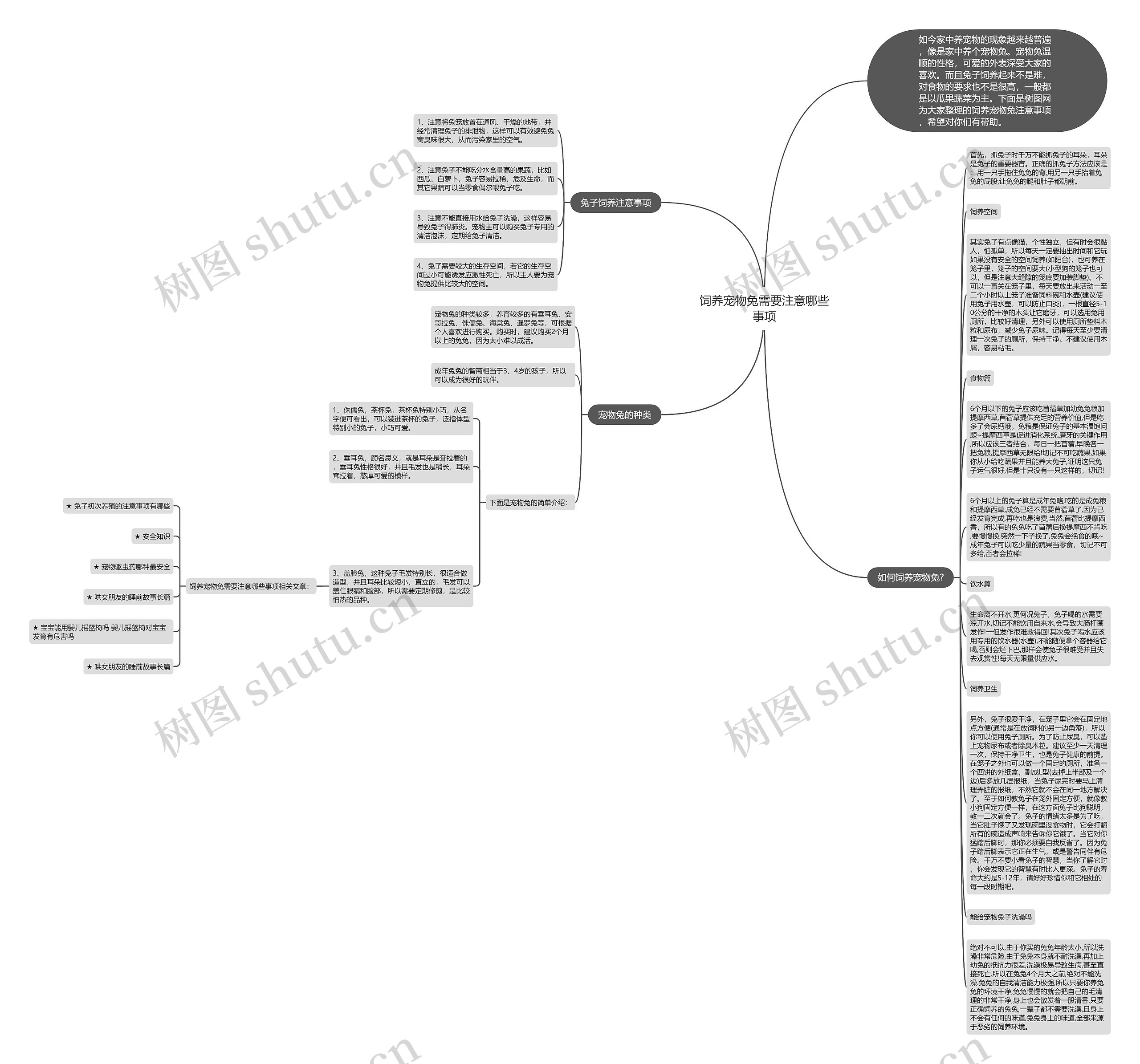 饲养宠物兔需要注意哪些事项思维导图
