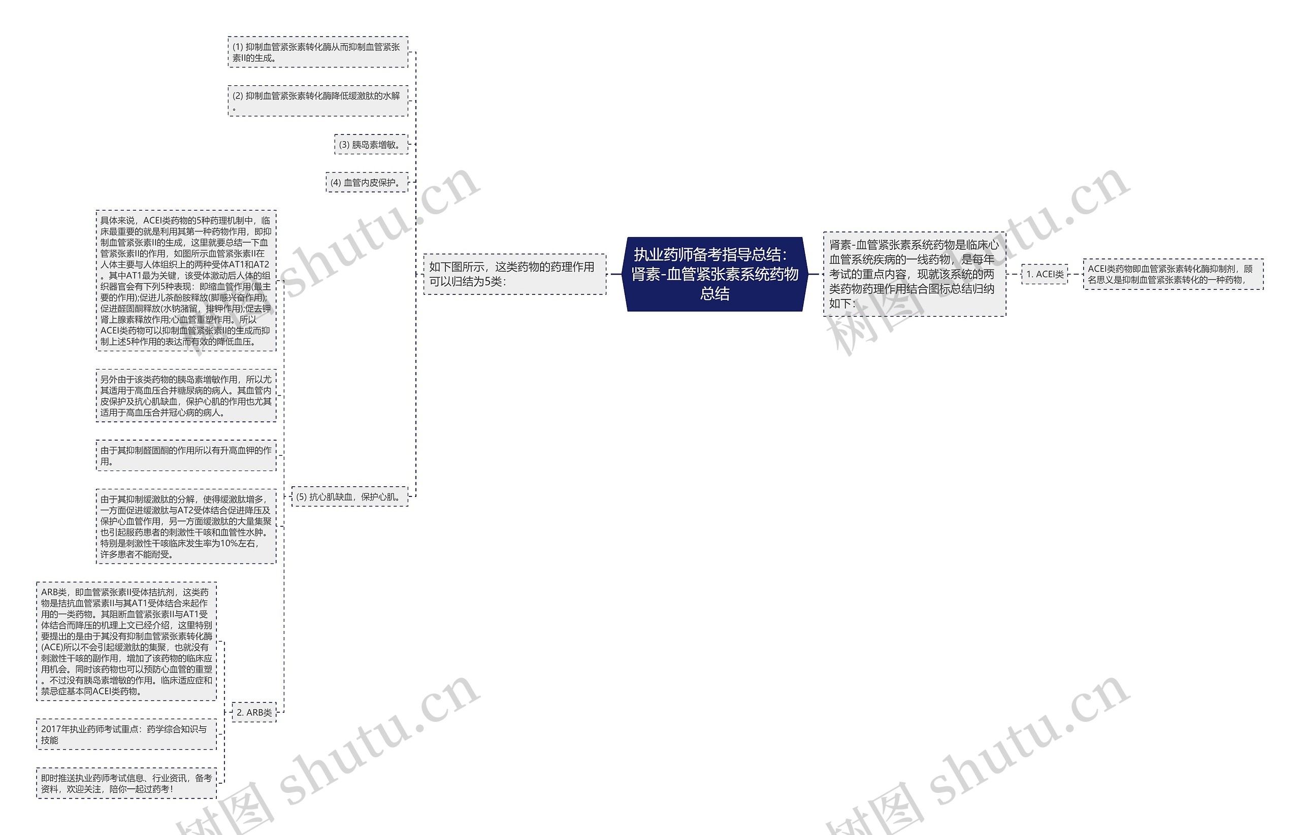 执业药师备考指导总结：肾素-血管紧张素系统药物总结思维导图