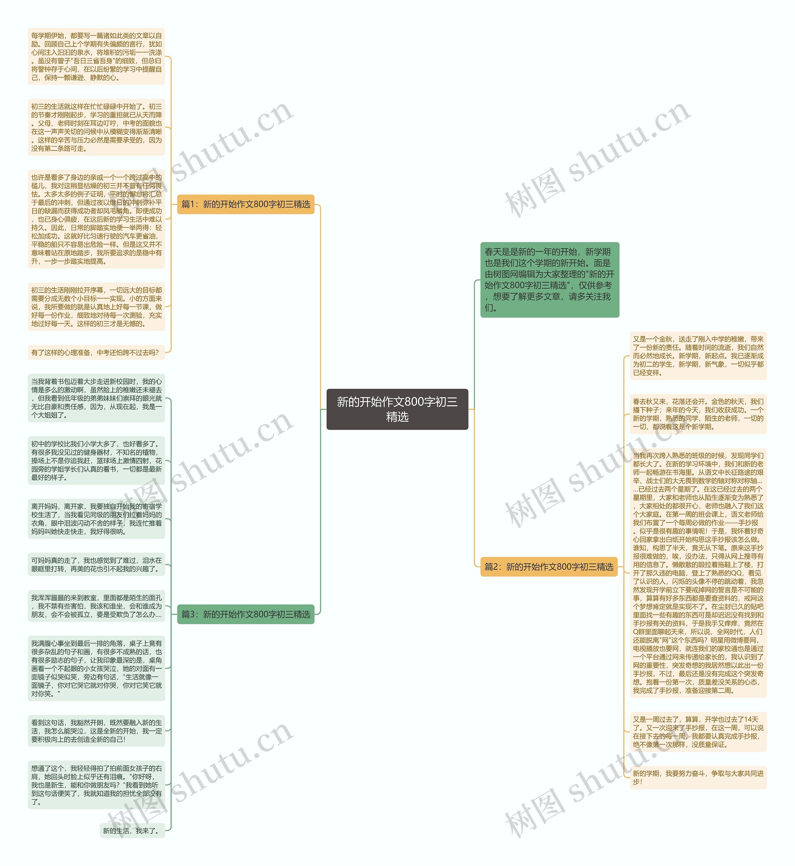 新的开始作文800字初三精选思维导图