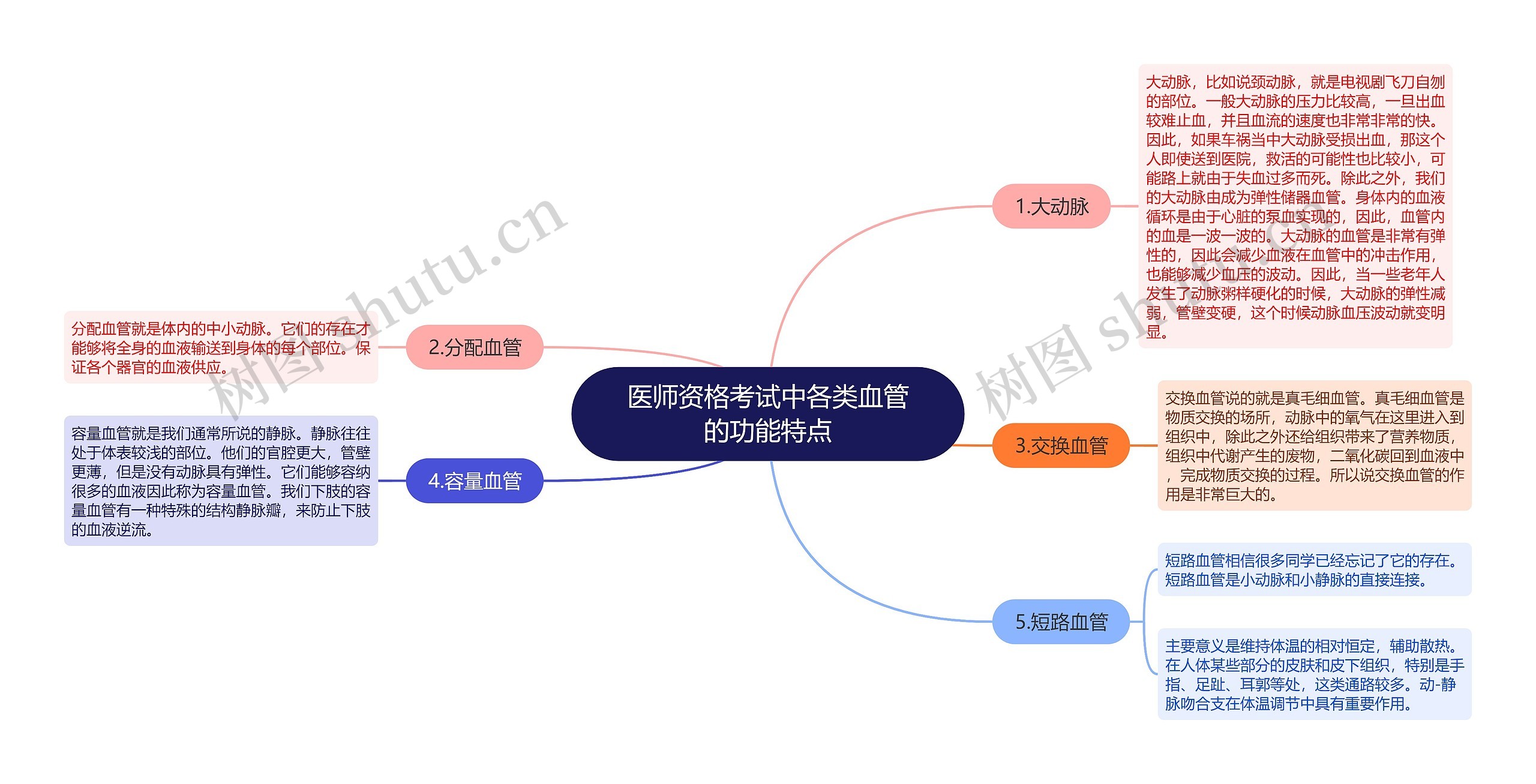 医师资格考试中各类血管的功能特点