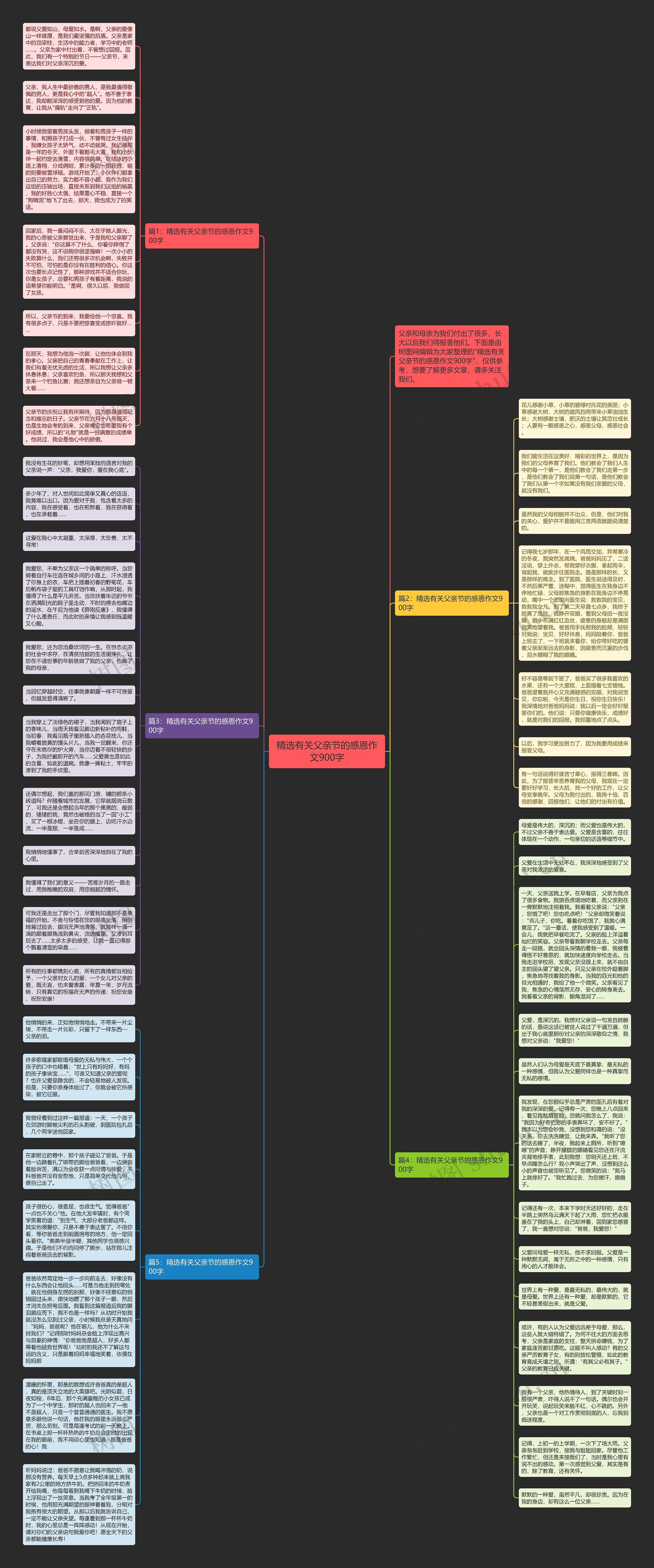 精选有关父亲节的感恩作文900字思维导图