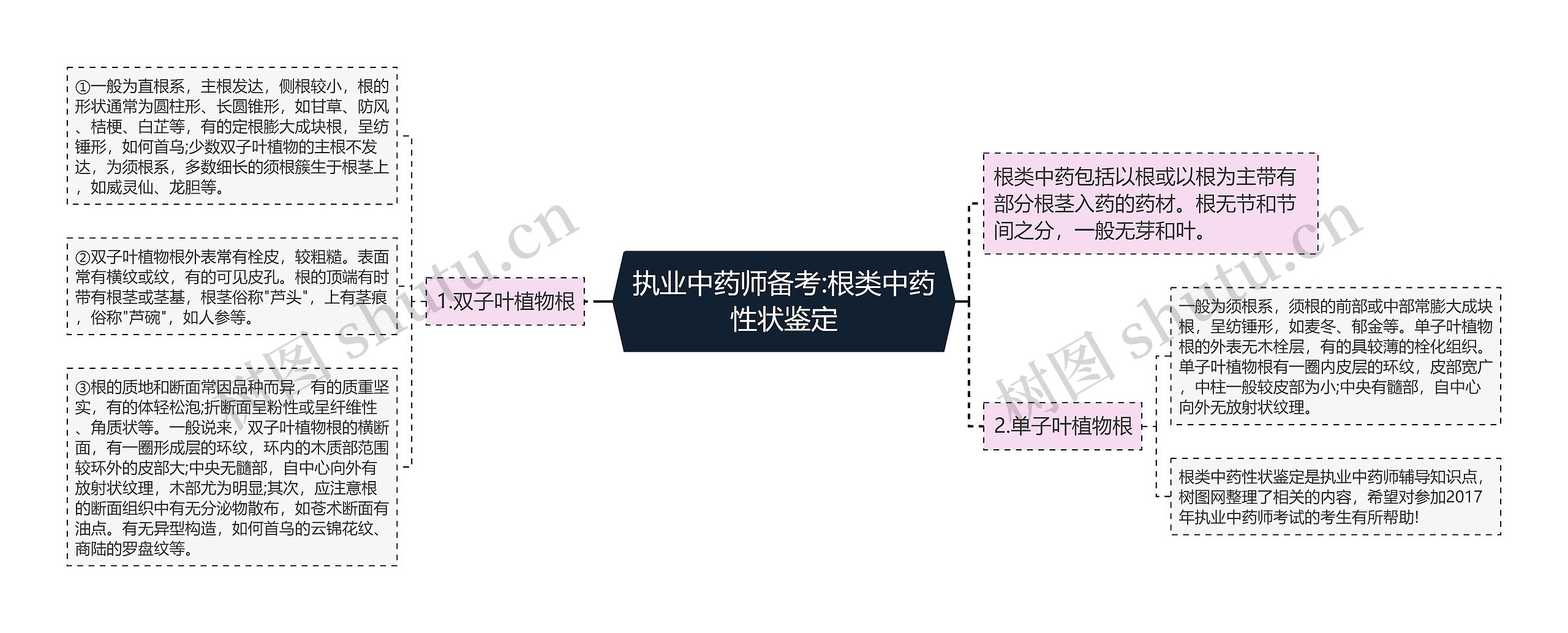 执业中药师备考:根类中药性状鉴定思维导图