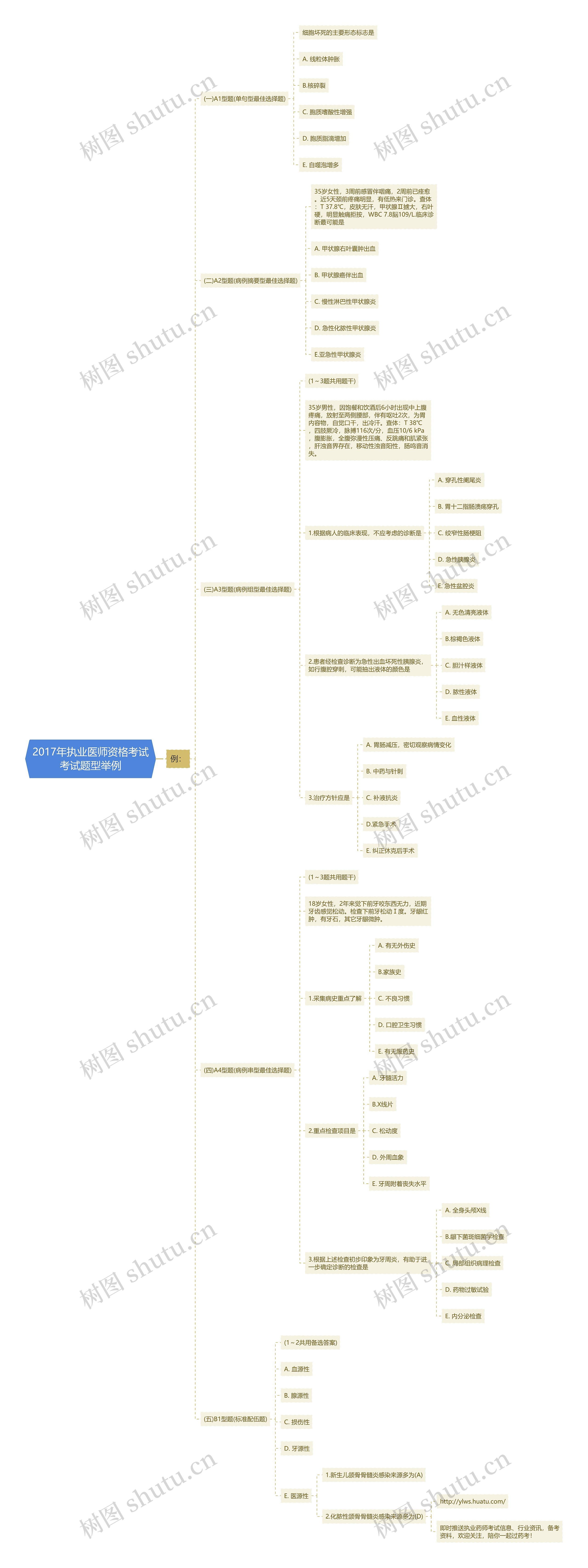2017年执业医师资格考试考试题型举例思维导图