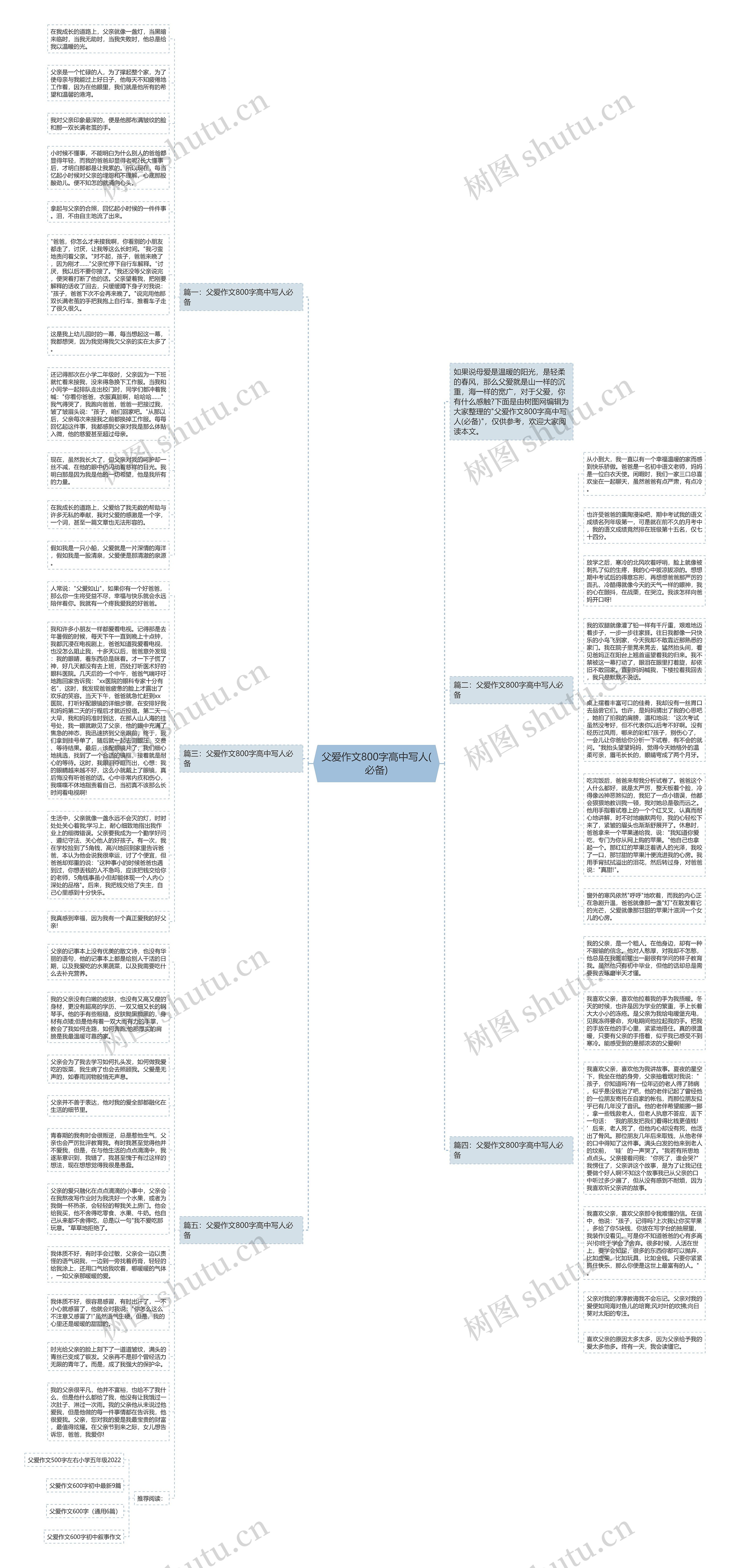 父爱作文800字高中写人(必备)思维导图
