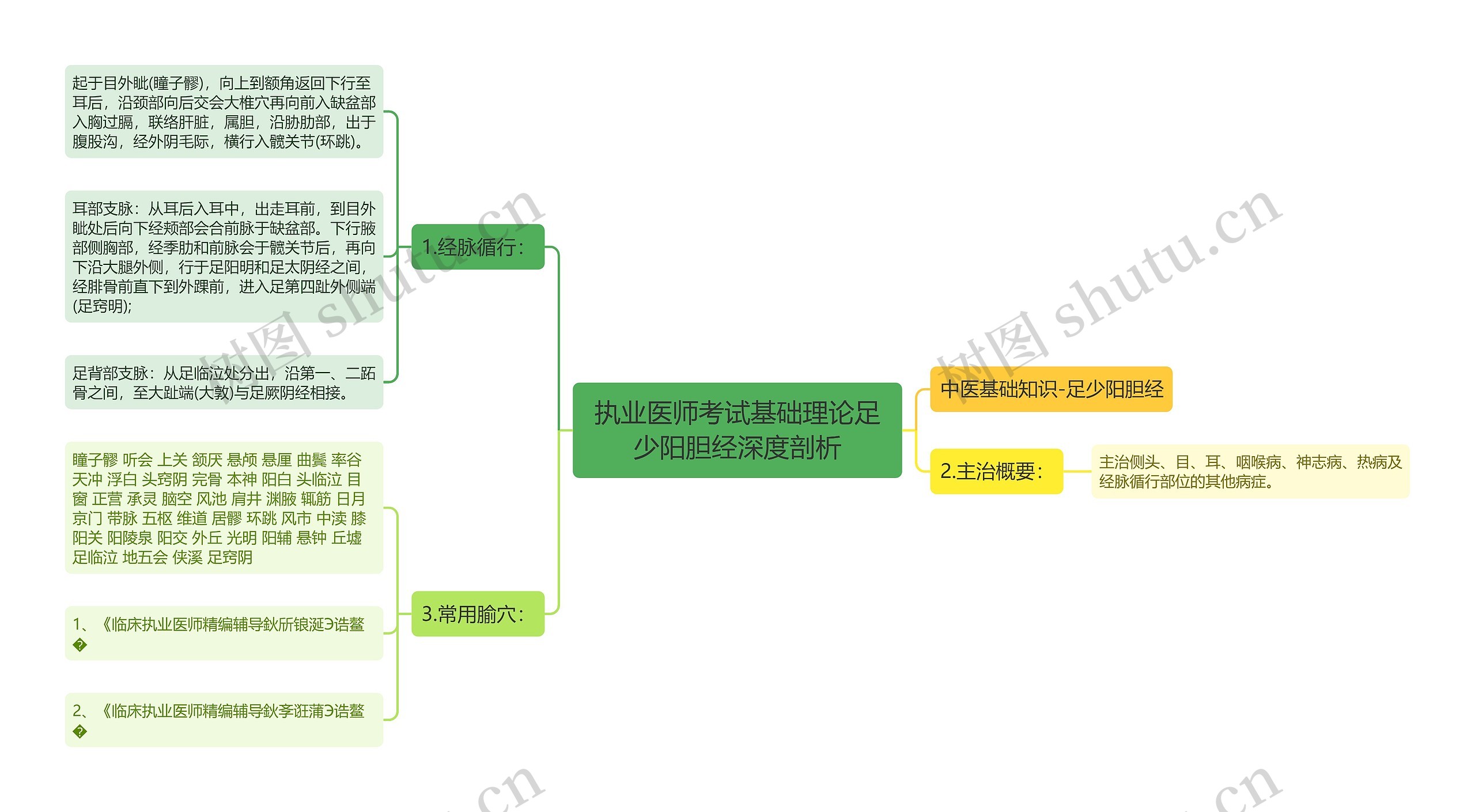 执业医师考试基础理论足少阳胆经深度剖析