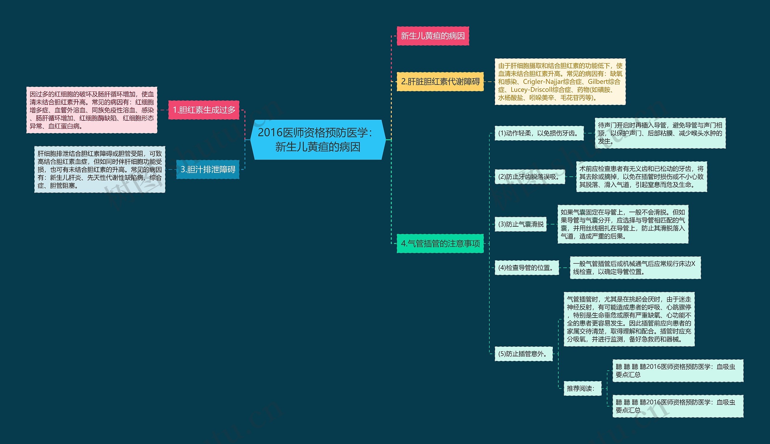 2016医师资格预防医学：新生儿黄疸的病因思维导图