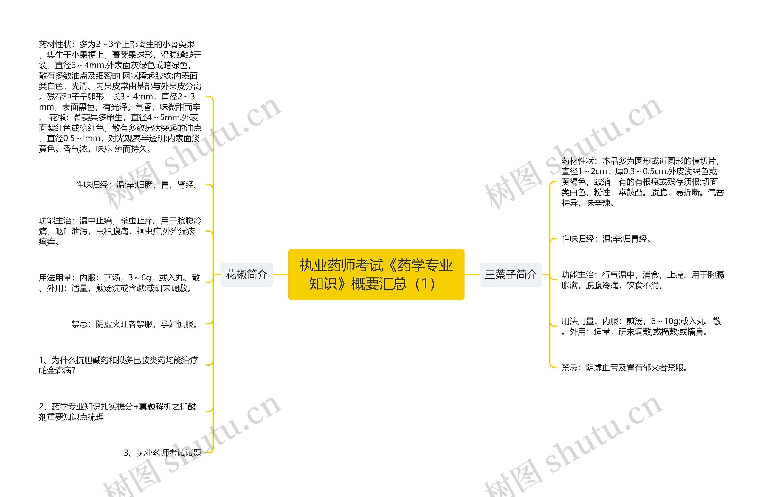 执业药师考试《药学专业知识》概要汇总（1）思维导图