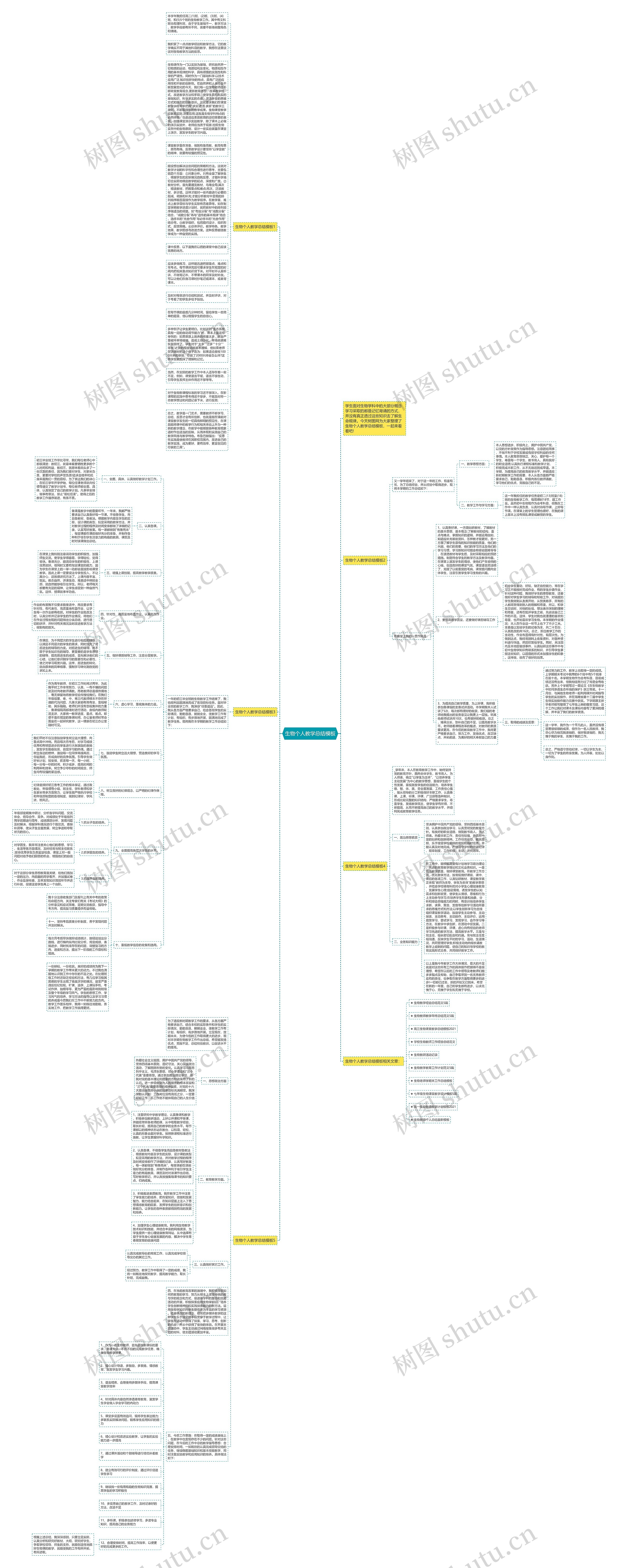 生物个人教学总结思维导图