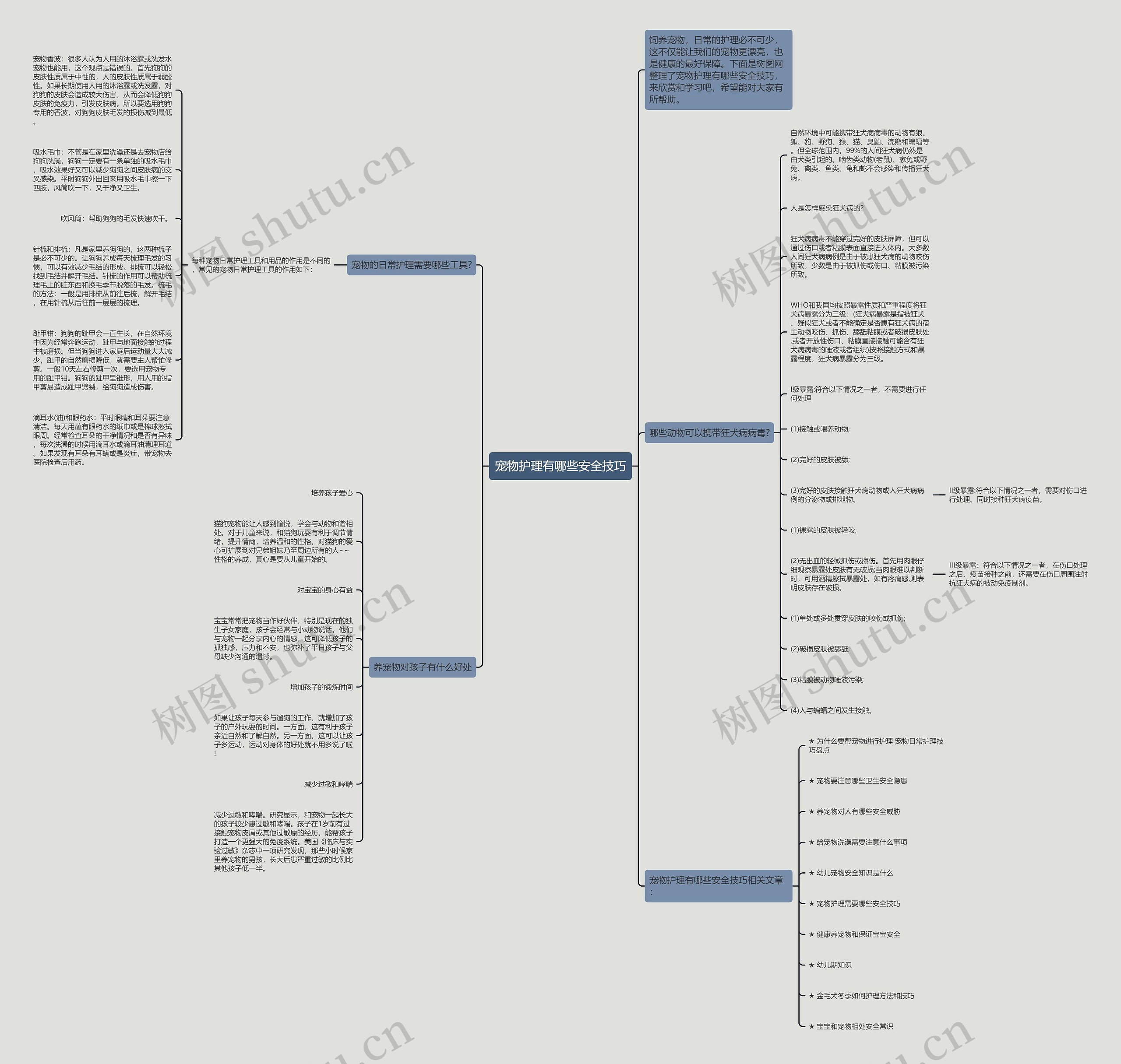 宠物护理有哪些安全技巧思维导图