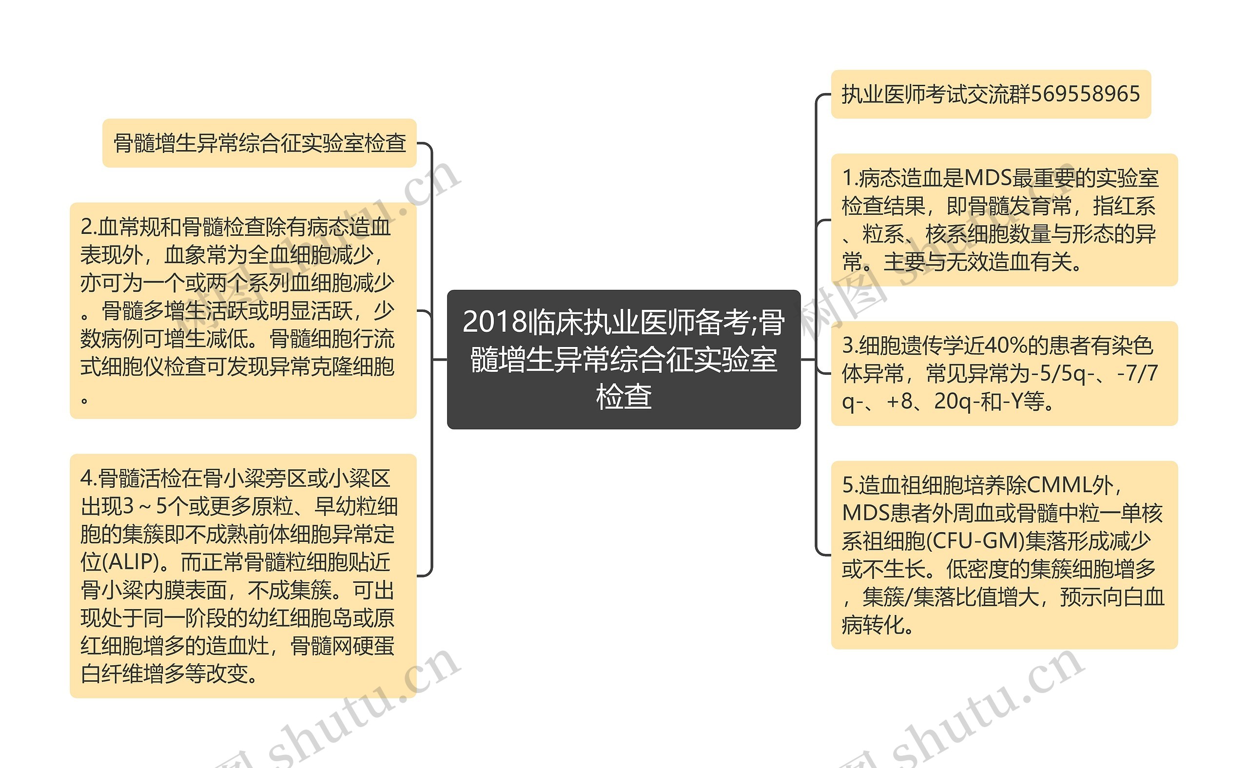 2018临床执业医师备考;骨髓增生异常综合征实验室检查