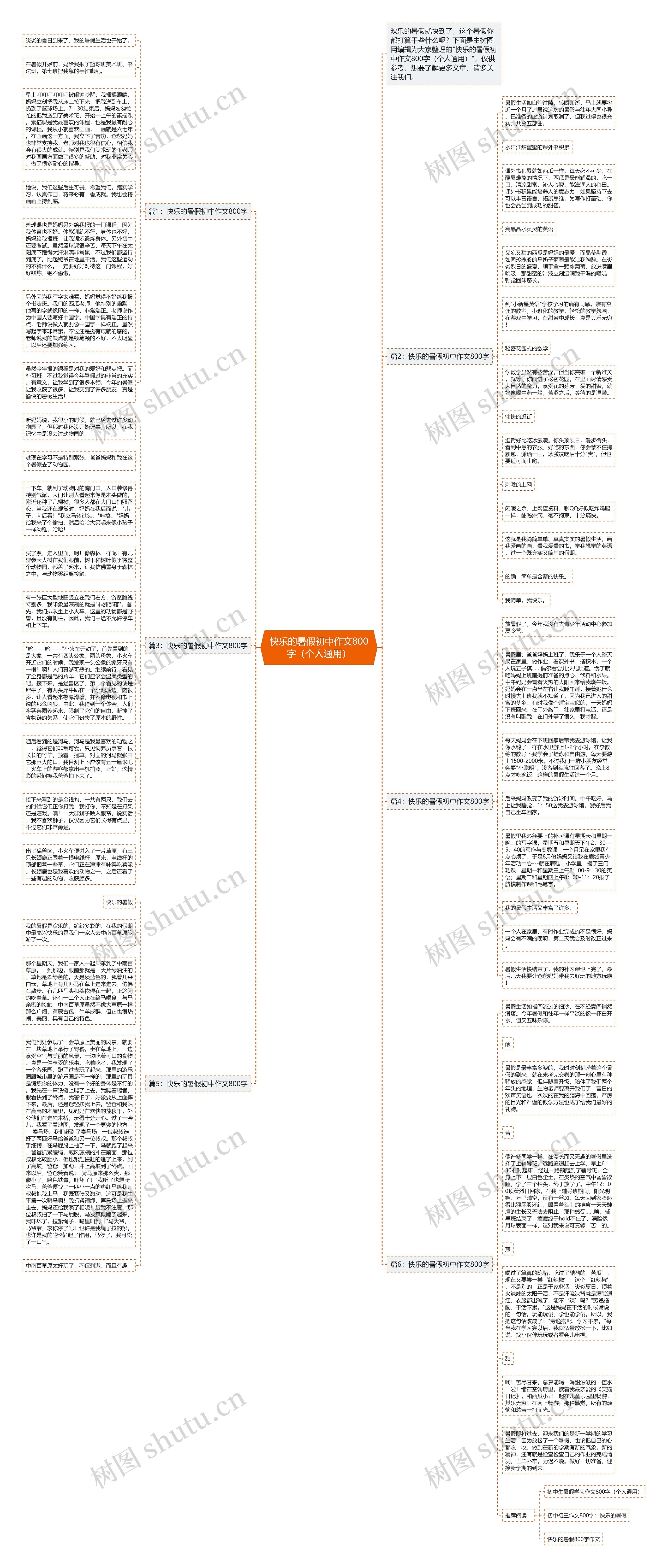 快乐的暑假初中作文800字（个人通用）思维导图